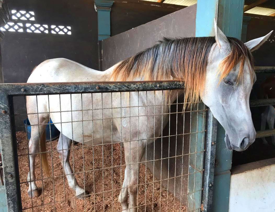 TOURISM MALAYSIA ANJUR LAWATAN KEMAS KINI PRODUK KE PANTAI TIMUR SEMENANJUNG MALAYSIA