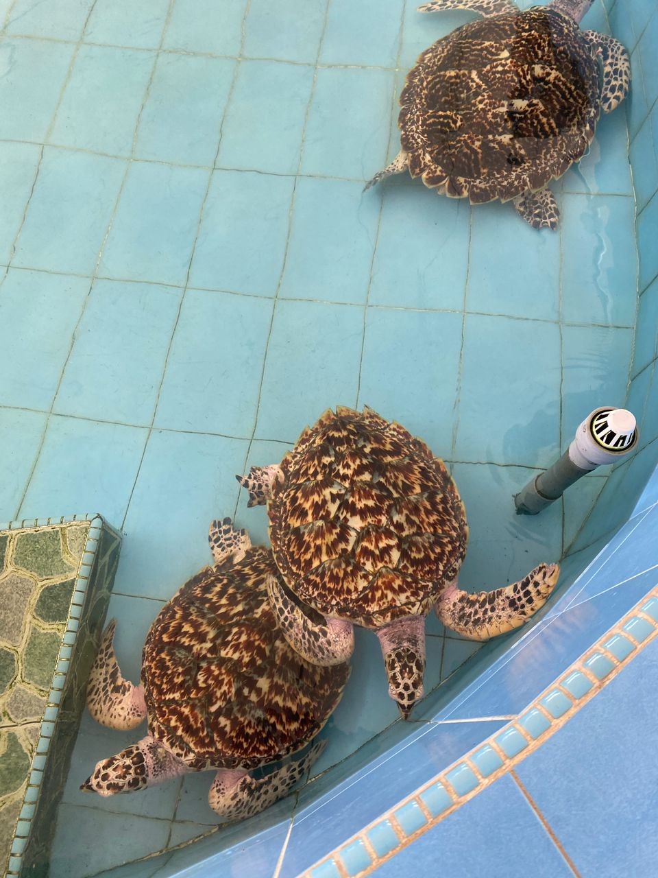 LAWATAN MEDIA ‘INFLUENCER’ CUTI-CUTI MALAYSIA ‘MANA LAGI, MELAKA LER’ MENGGIAT PELANCONGAN DOMESTIK