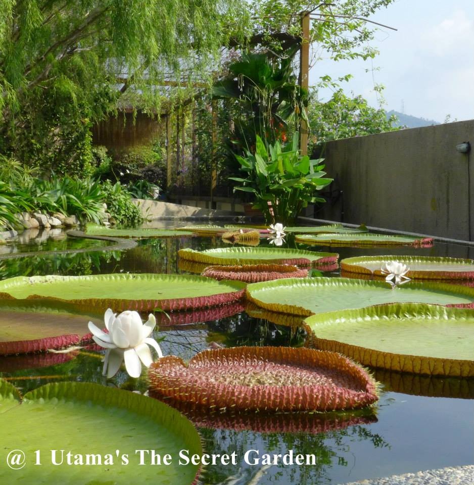 The SECRET GARDEN @ 1 UTAMA'S ROOFTOP