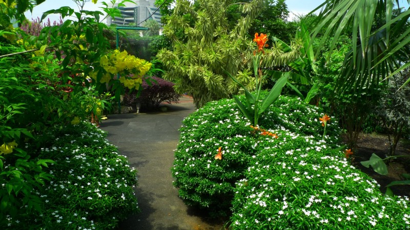 The SECRET GARDEN @ 1 UTAMA'S ROOFTOP