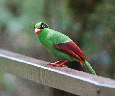 EXPERIENCE MALAYSIA SEPTEMBER