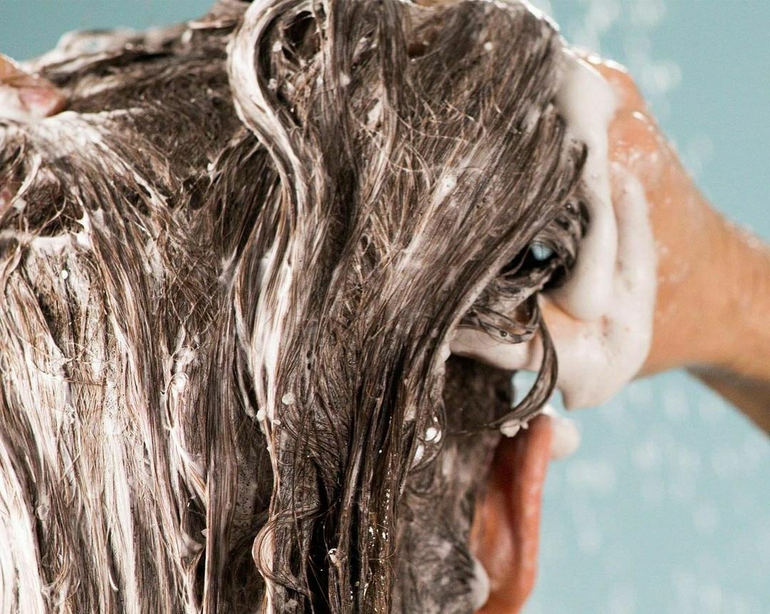 OUR TOP ECO-FRIENDLY PICKS AT PAVILION REIT MALLS TO LIVE SUSTAINABLY