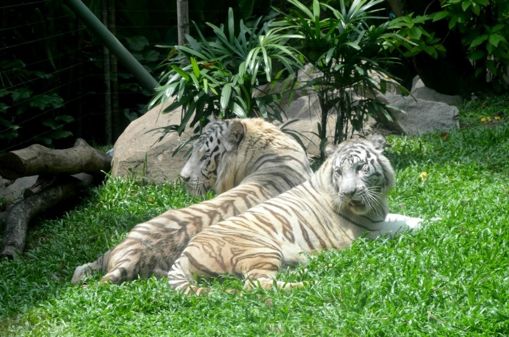 EXPERIENCE MALAYSIA NOVEMBER