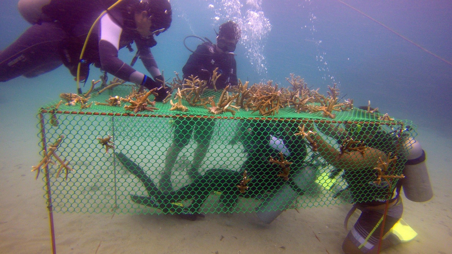 TIOMAN ISLAND CLEAN-UP DAY – TOGETHER FOR PLANET EARTH!