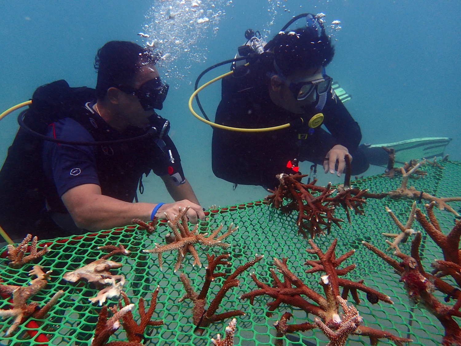 TIOMAN ISLAND CLEAN-UP DAY – TOGETHER FOR PLANET EARTH!