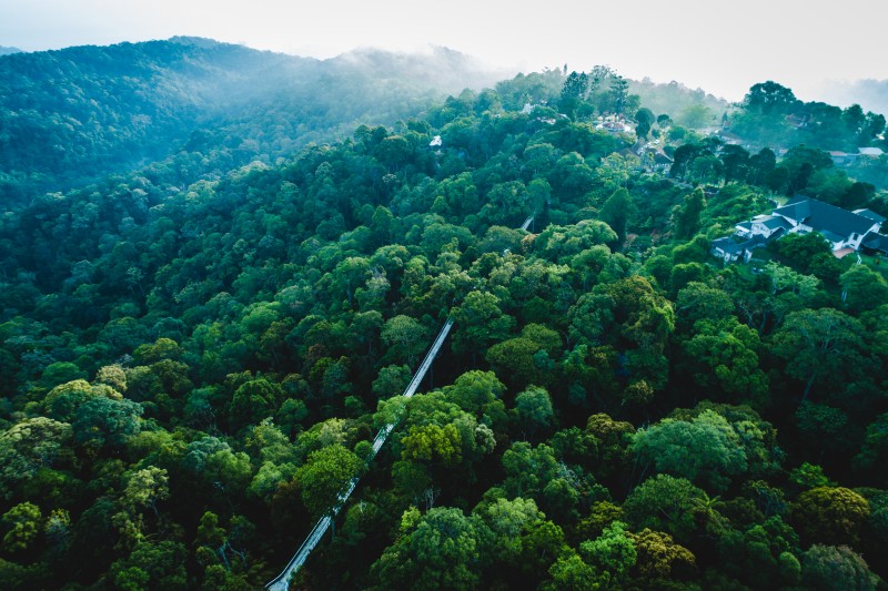 Designation of the Penang Hill Biosphere Reserve by UNESCO: a fitting recognition of the unique natural and cultural heritage of Penang Island and its people