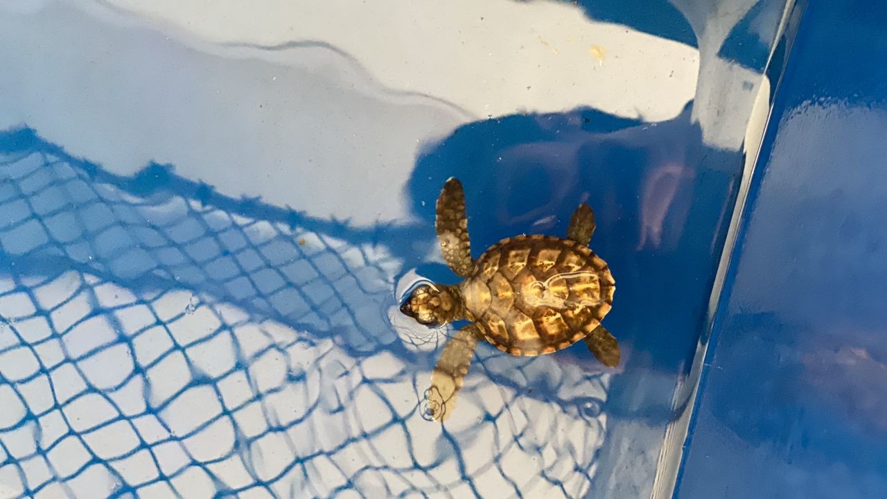 LAWATAN MEDIA ‘INFLUENCER’ CUTI-CUTI MALAYSIA ‘MANA LAGI, MELAKA LER’ MENGGIAT PELANCONGAN DOMESTIK