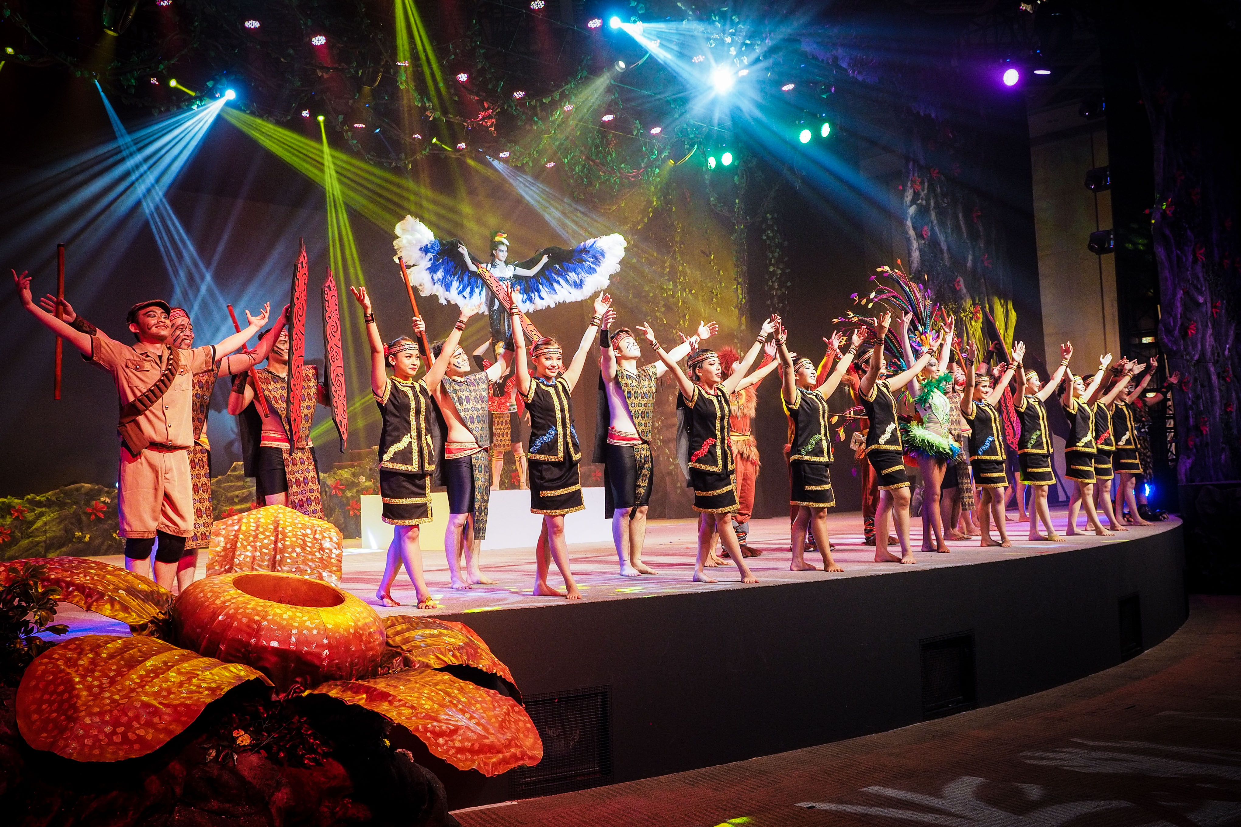 «FANTASY RAINFOREST»