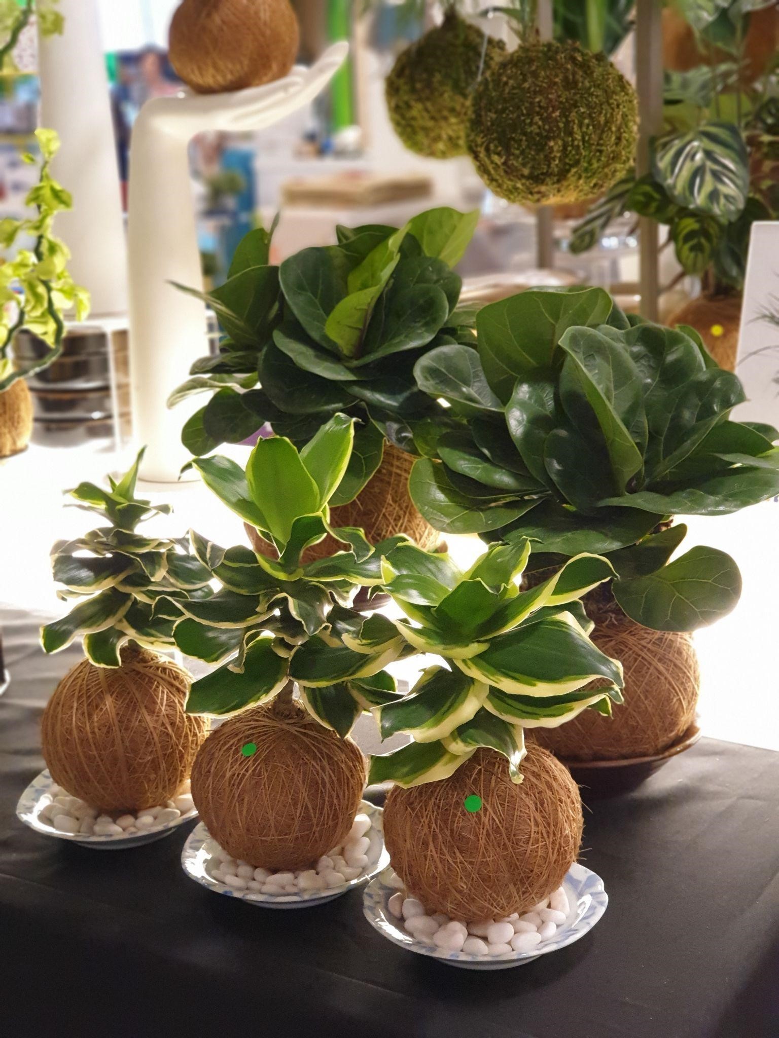 LAST-MINUTE RAYA SHOPPING FOR ALL YOUR AIDILFITRI ESSENTIALS