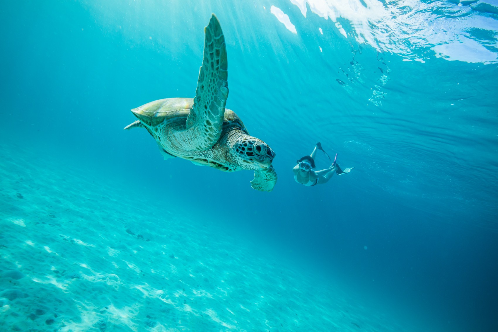 FLY DIRECT FROM SINGAPORE TO REDANG ISLAND WITH BERJAYA AIR