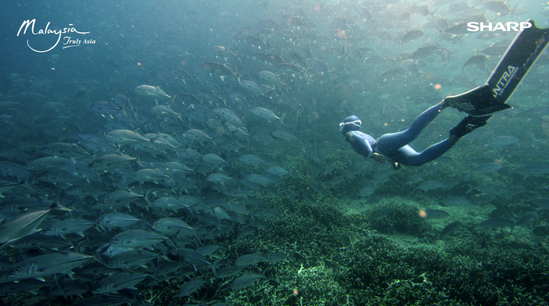 TOURISM MALAYSIA’S ‘AMAZING’ VIDEO WINS GLOBAL AWARD FOR BEST CAMERAWORK