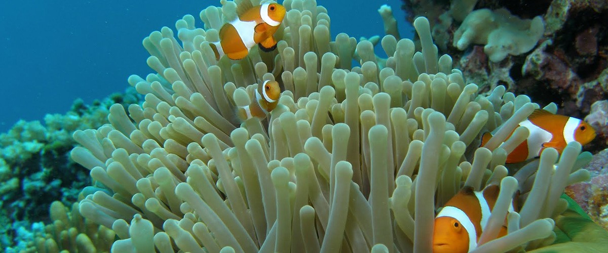 EXPERIENCE MALAYSIA AUGUST