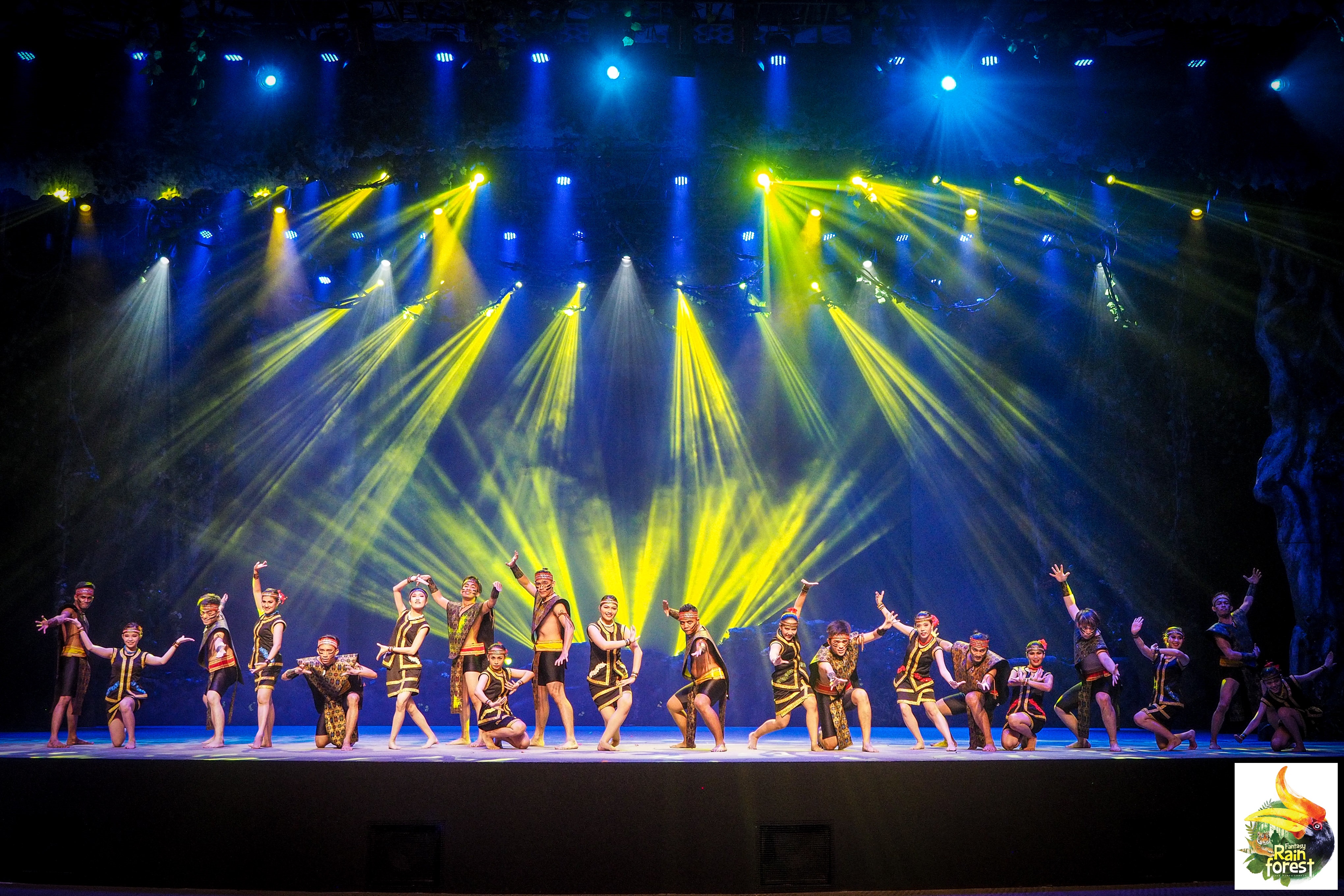 «FANTASY RAINFOREST»