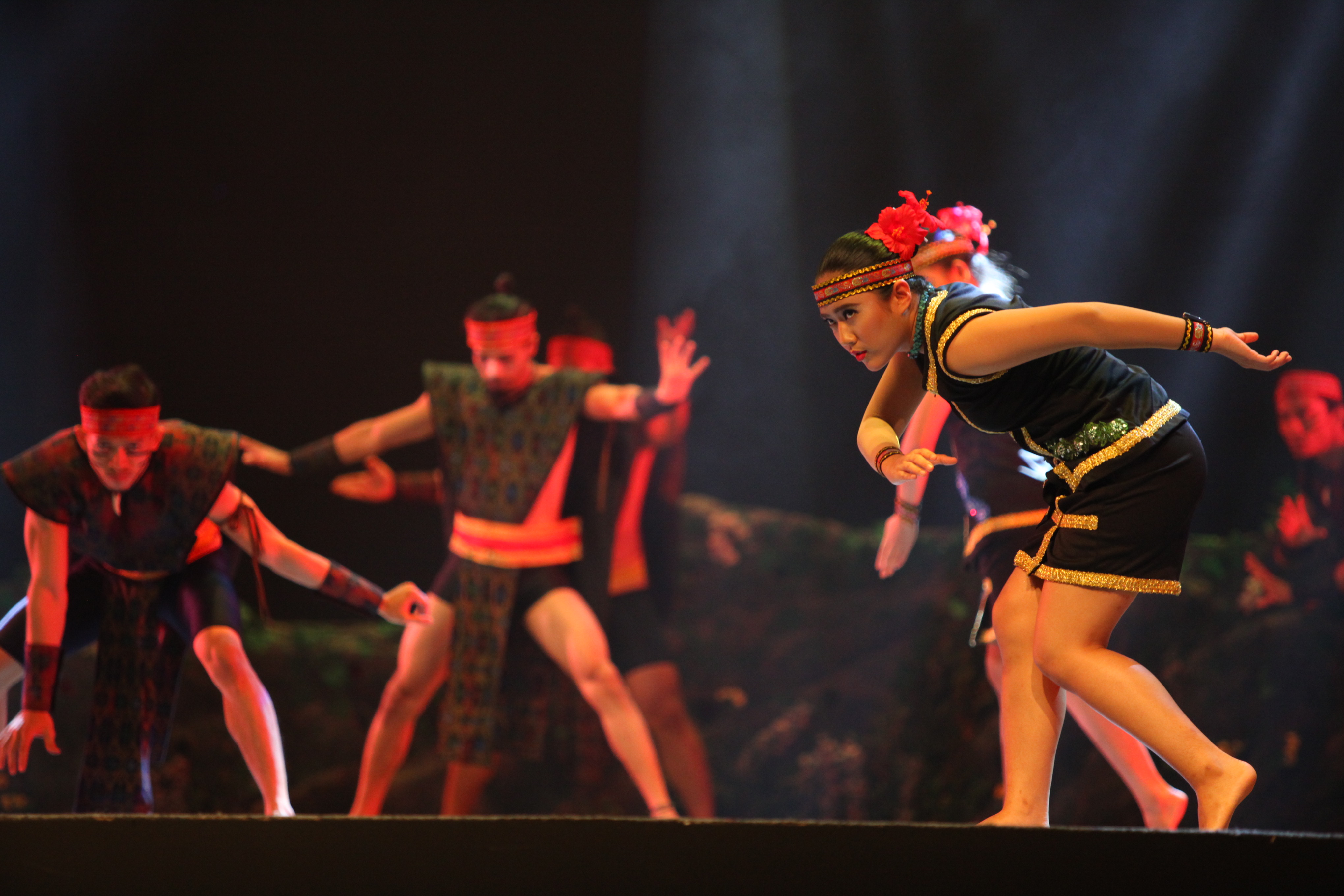 «FANTASY RAINFOREST»