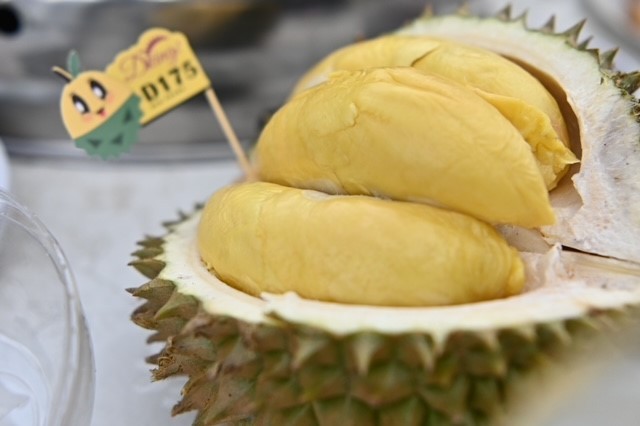 PROGRAM MAGICAL MELAKA FOOD & FRUIT FEST 2022 BERSEMPENA MAGIC OF THE NIGHT 2022