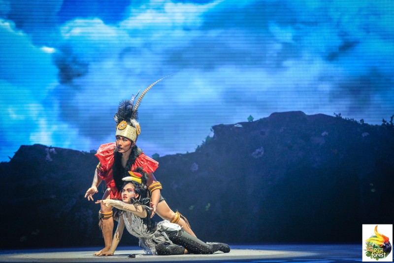 «FANTASY RAINFOREST»