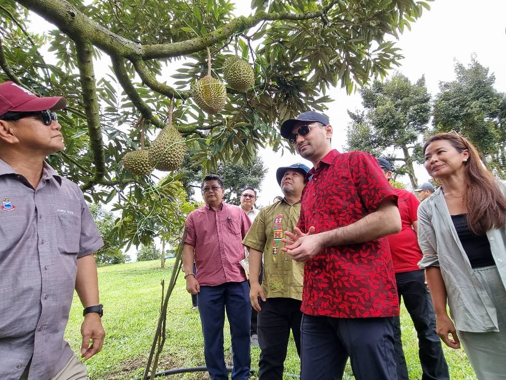 SABAH DURIAN TOURISM BAZAAR 2024 TINGKATKAN AGROPELANCONGAN DI KENINGAU