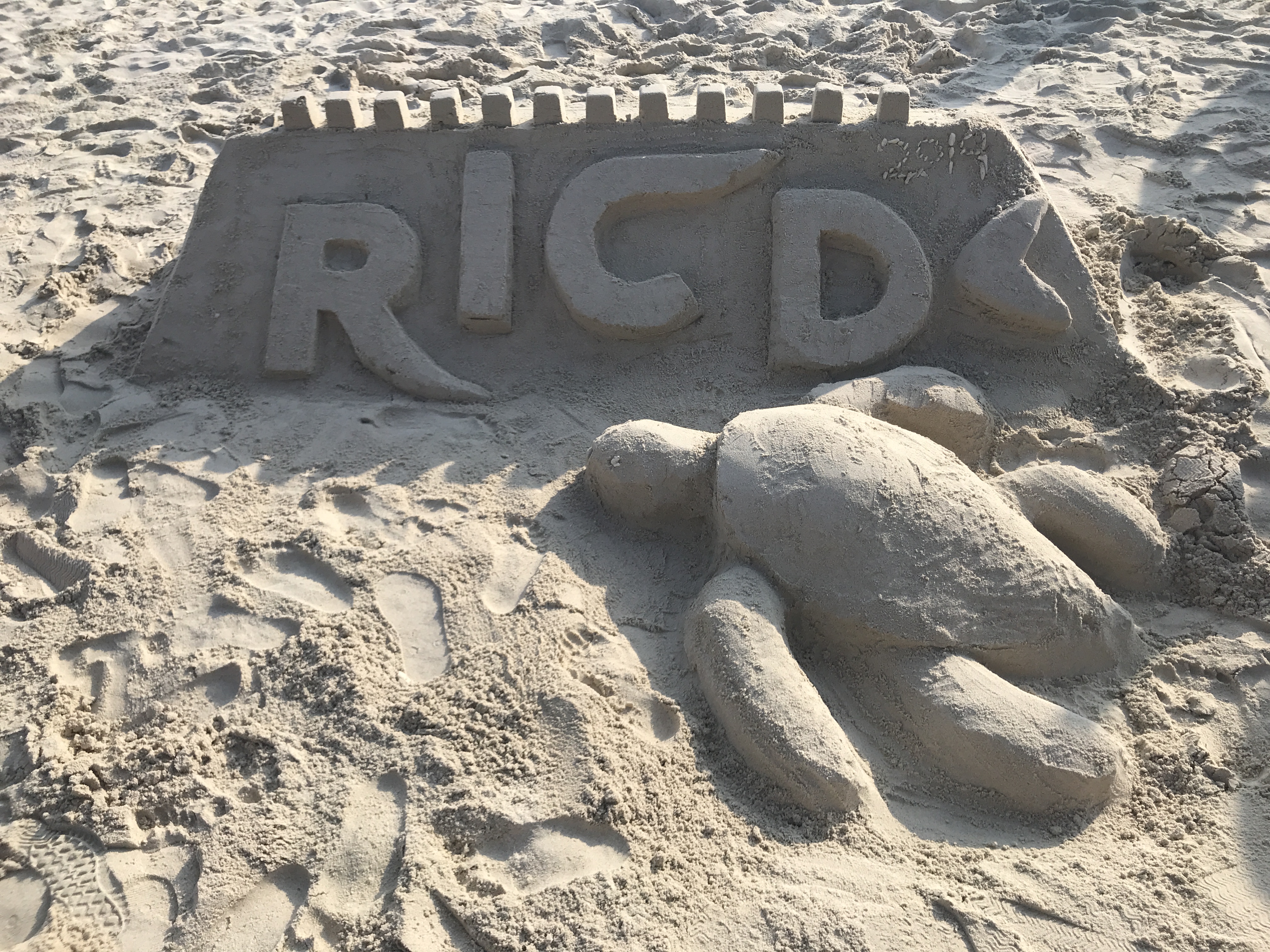 REDANG ISLAND CONSERVATION DAY 2019, OUR OCEANS, OUR FUTURE