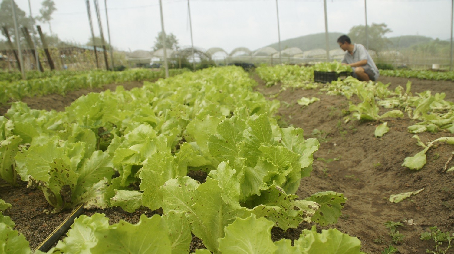 TITI ECO FARM RESORT – A DESTINATION FOR LEISURE AND HEALTY LIVING