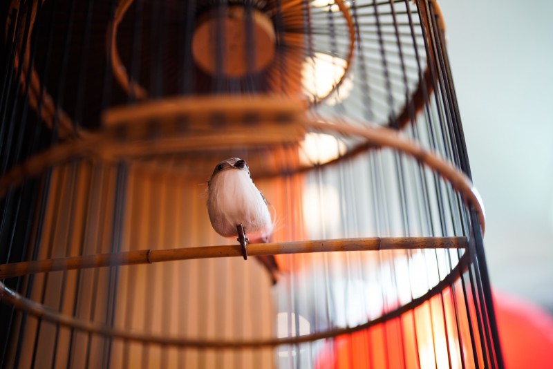 SURIA KLCC'S VINTAGE AFFAIR SPARKS CNY MAGIC