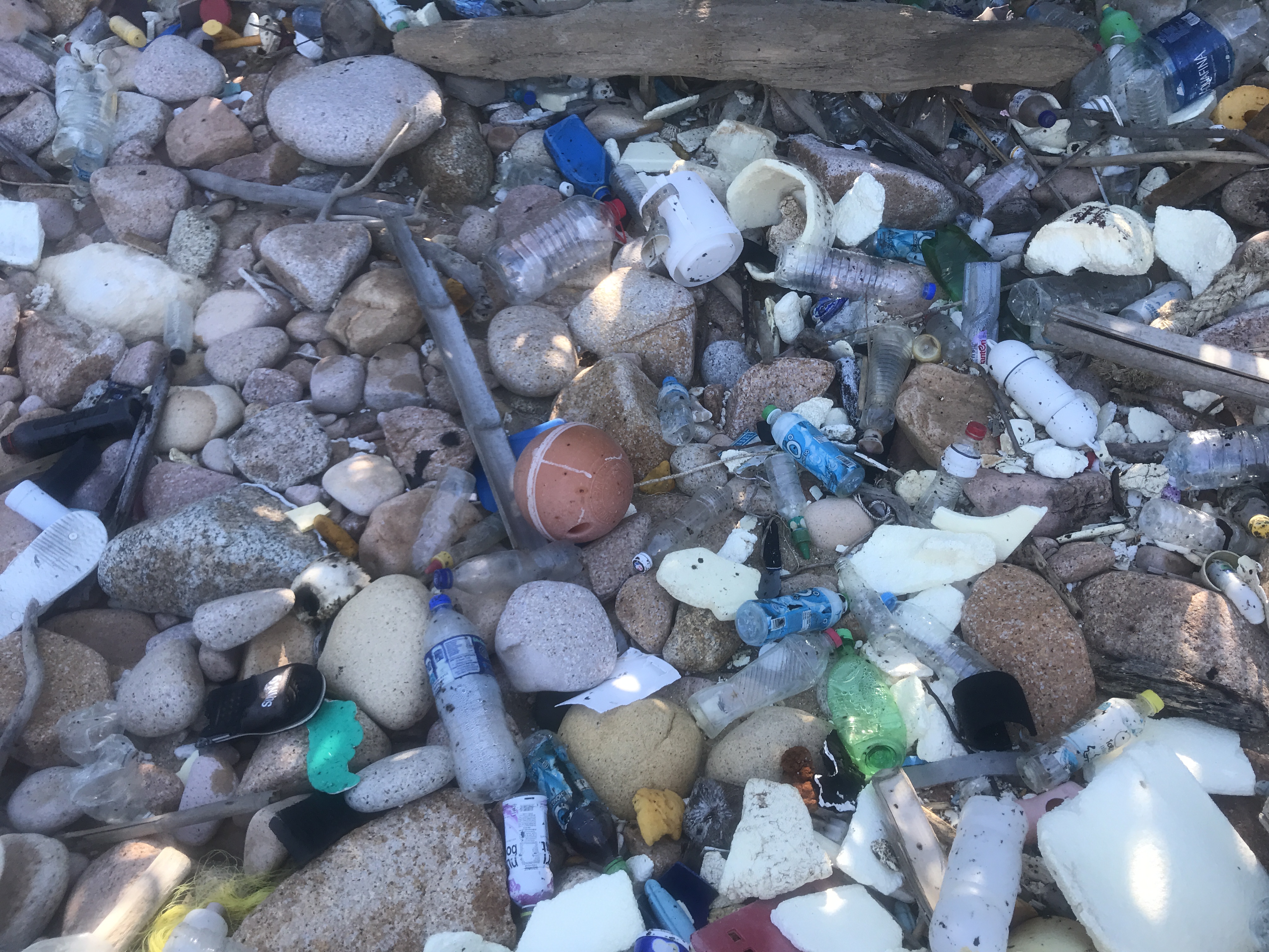 REDANG ISLAND CONSERVATION DAY 2019, OUR OCEANS, OUR FUTURE