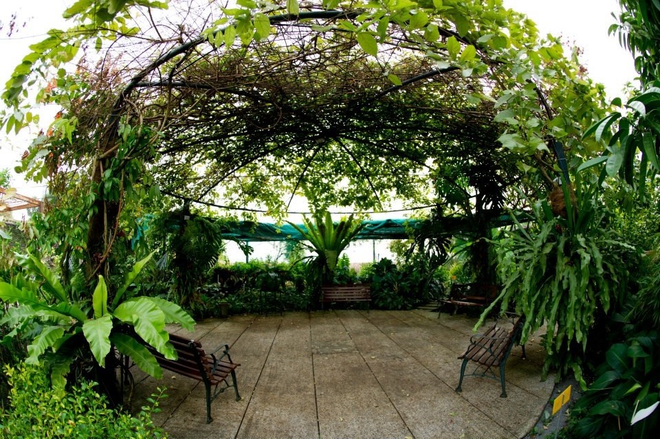 The SECRET GARDEN @ 1 UTAMA'S ROOFTOP