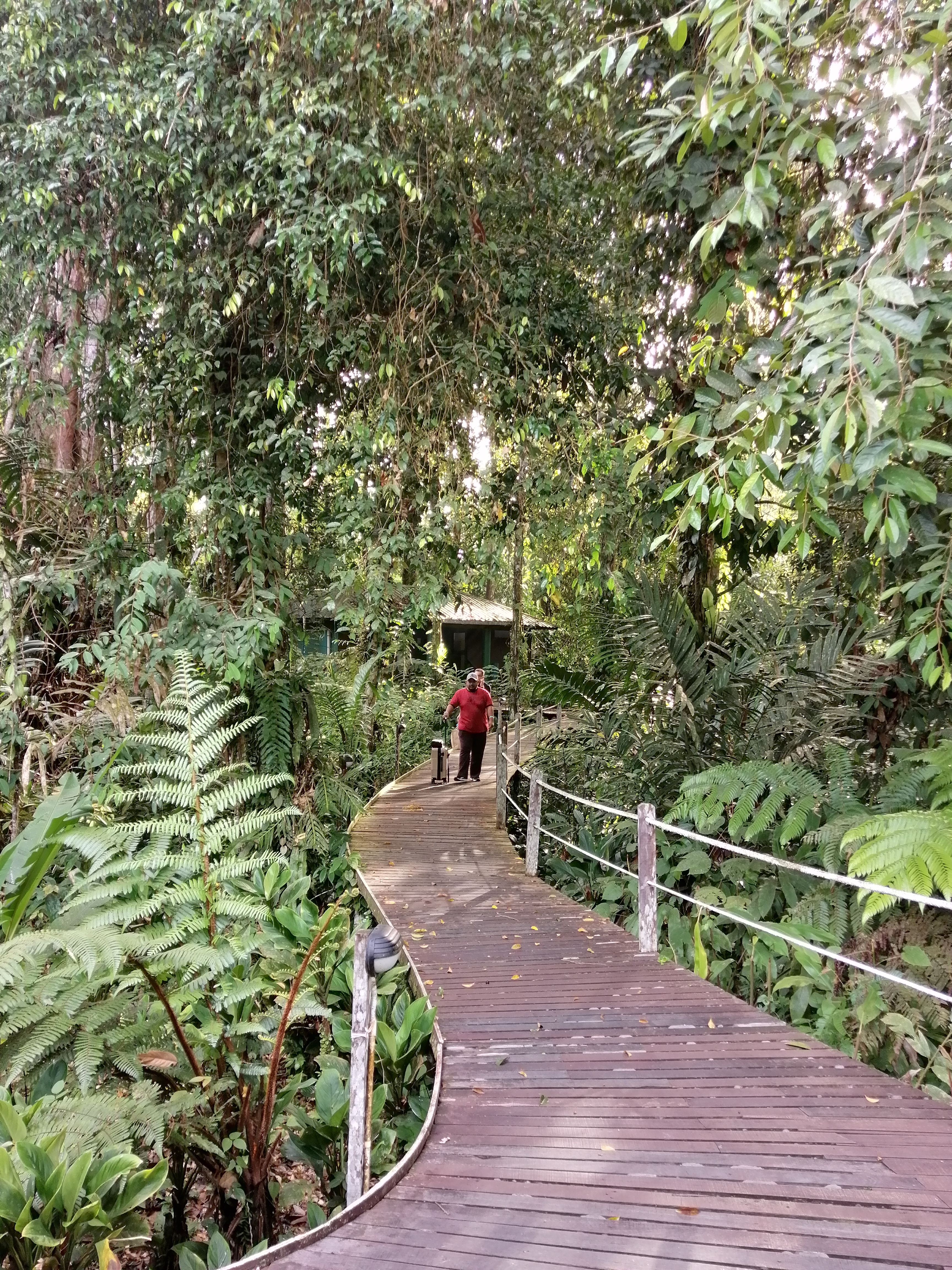Networking Trip Tourism Malaysia & Tourism Product Audit to Borneo Jazz Festival, Miri and Gunung Mulu National Park Siri 2/2022