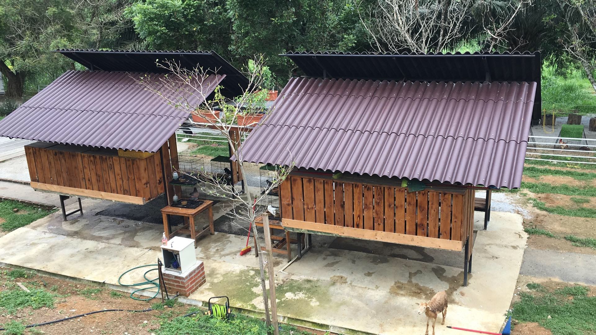 TM Product Update - MAEPS & Le Meridian