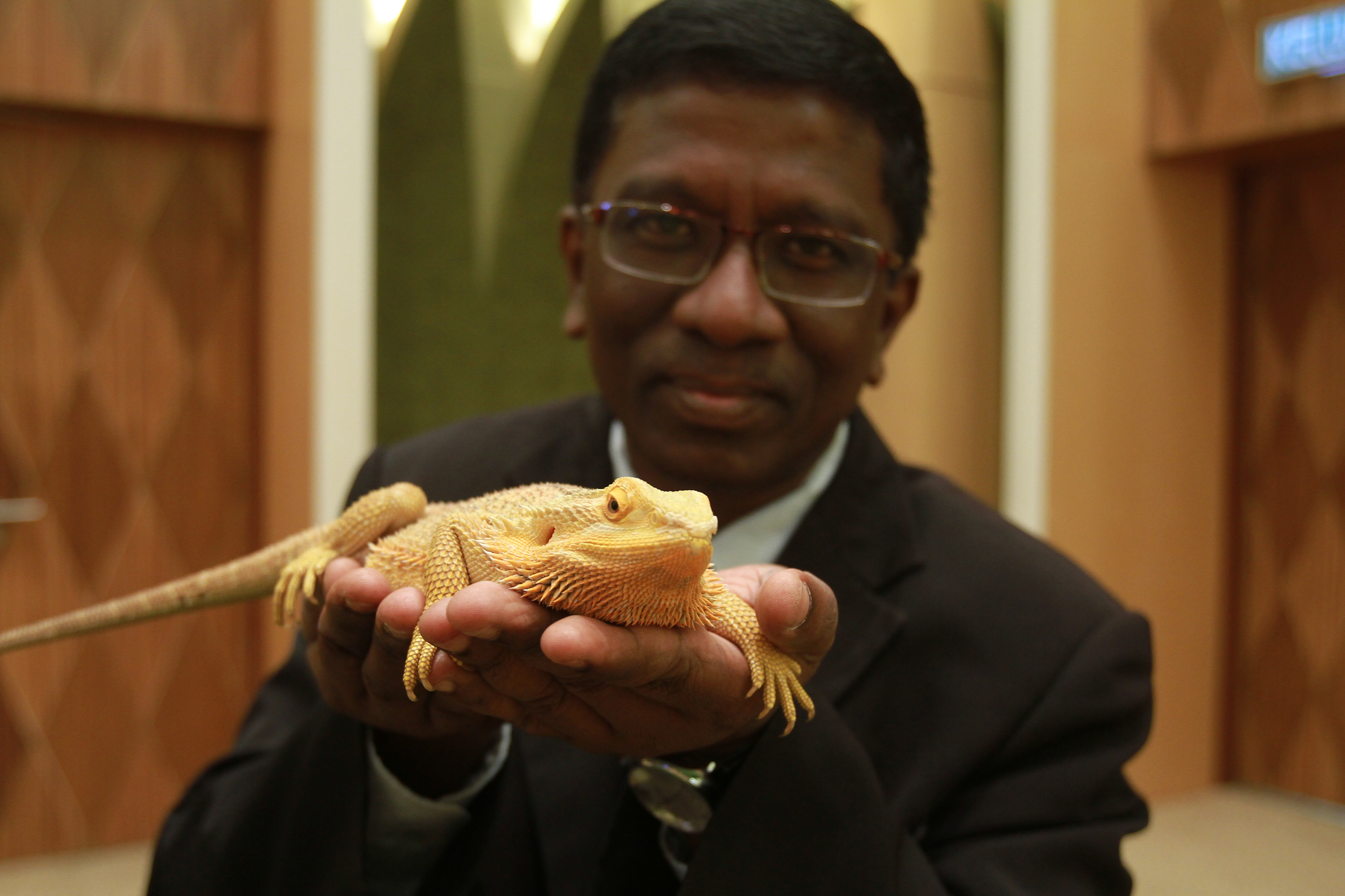 TM Networking Day with Farm In The City