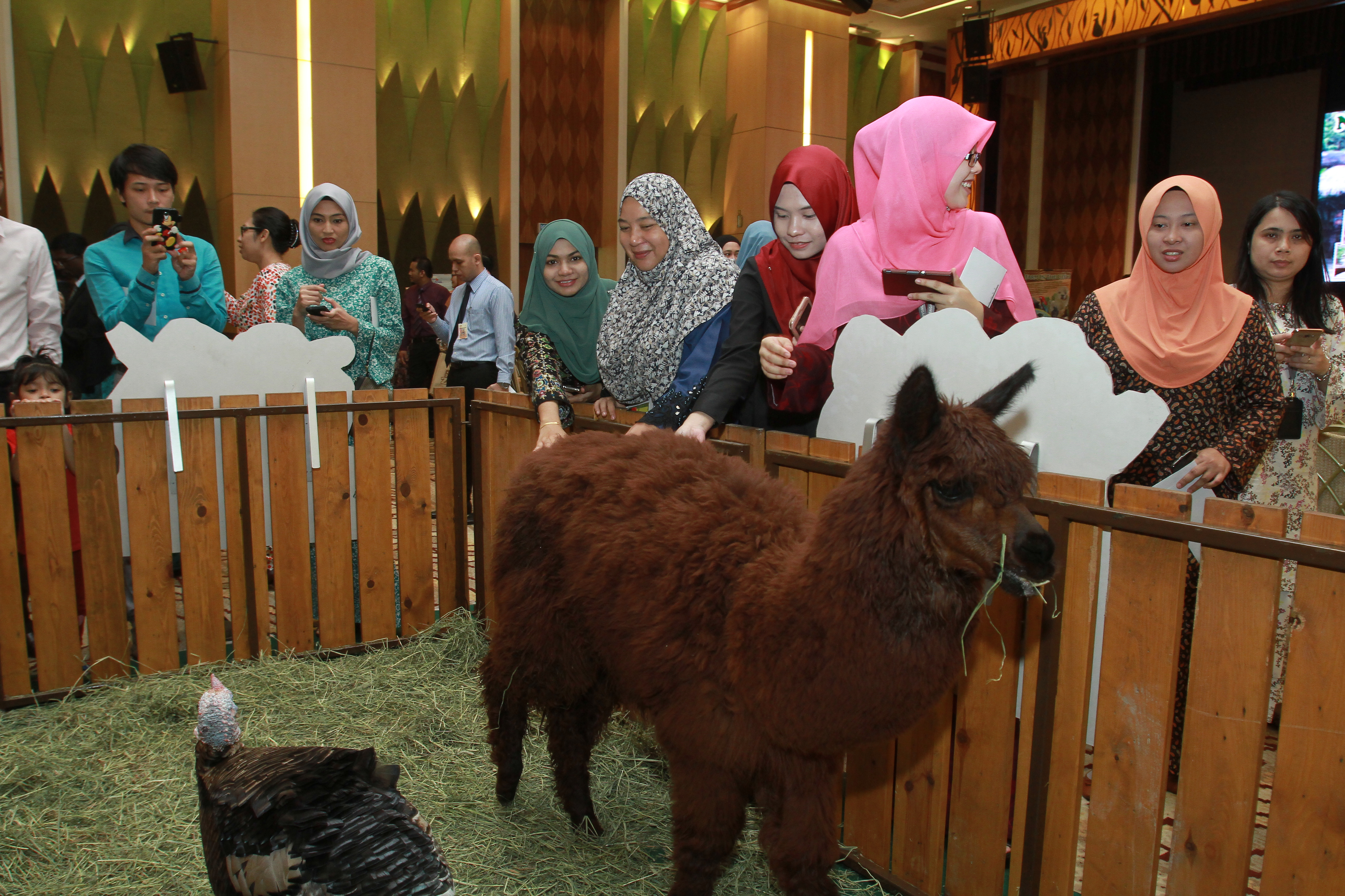 TM Networking Day with Farm In The City