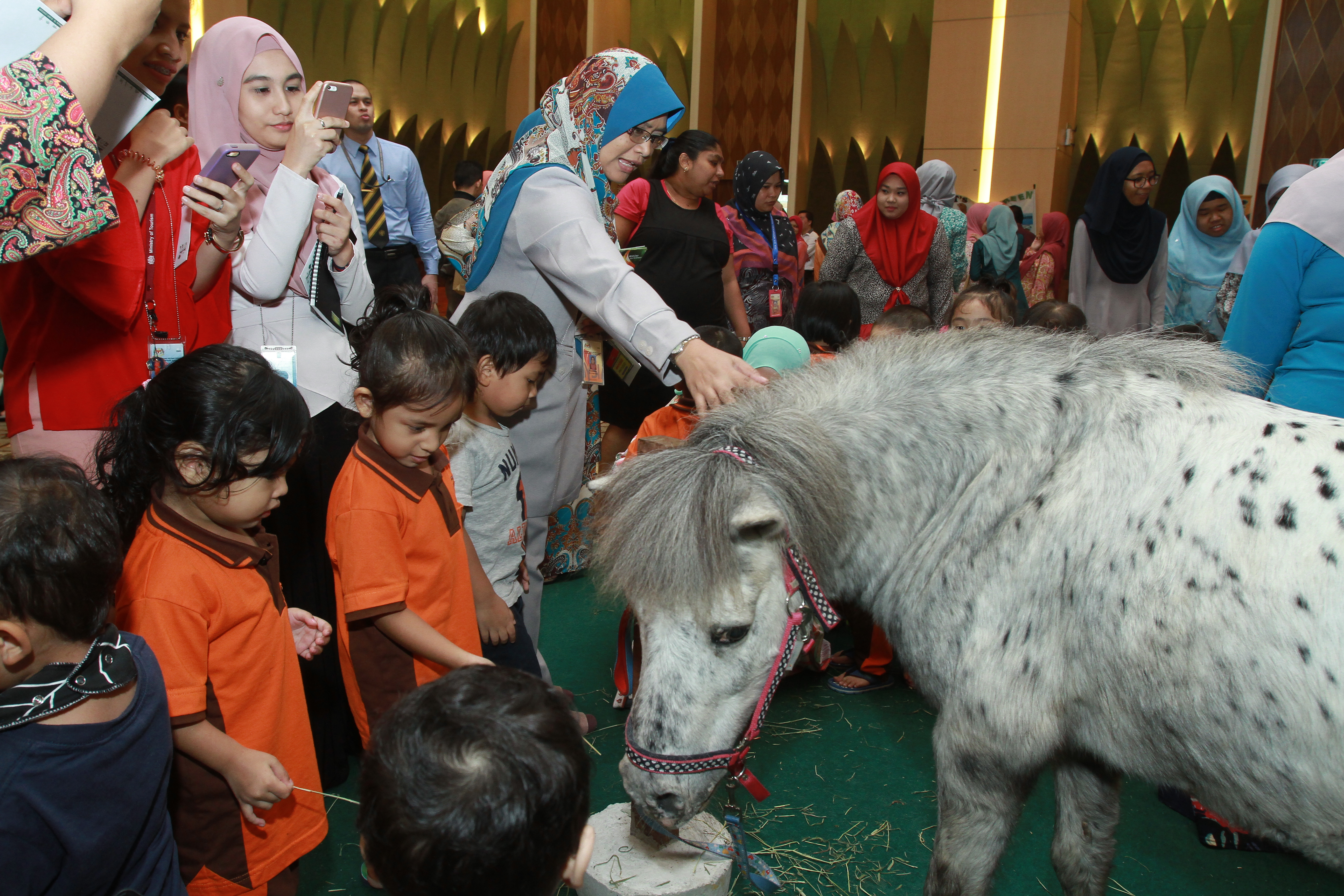 TM Networking Day with Farm In The City