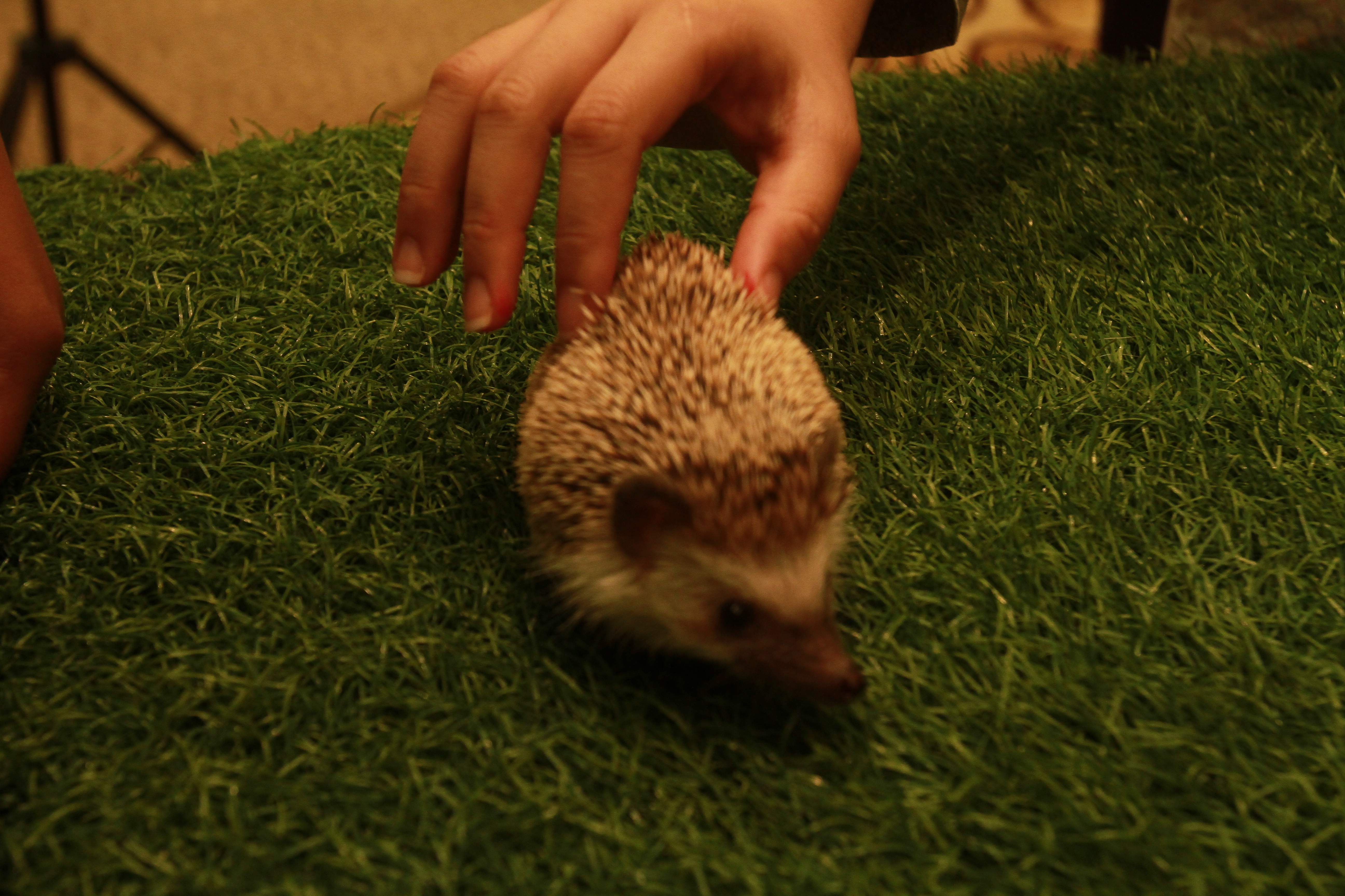 TM Networking Day with Farm In The City