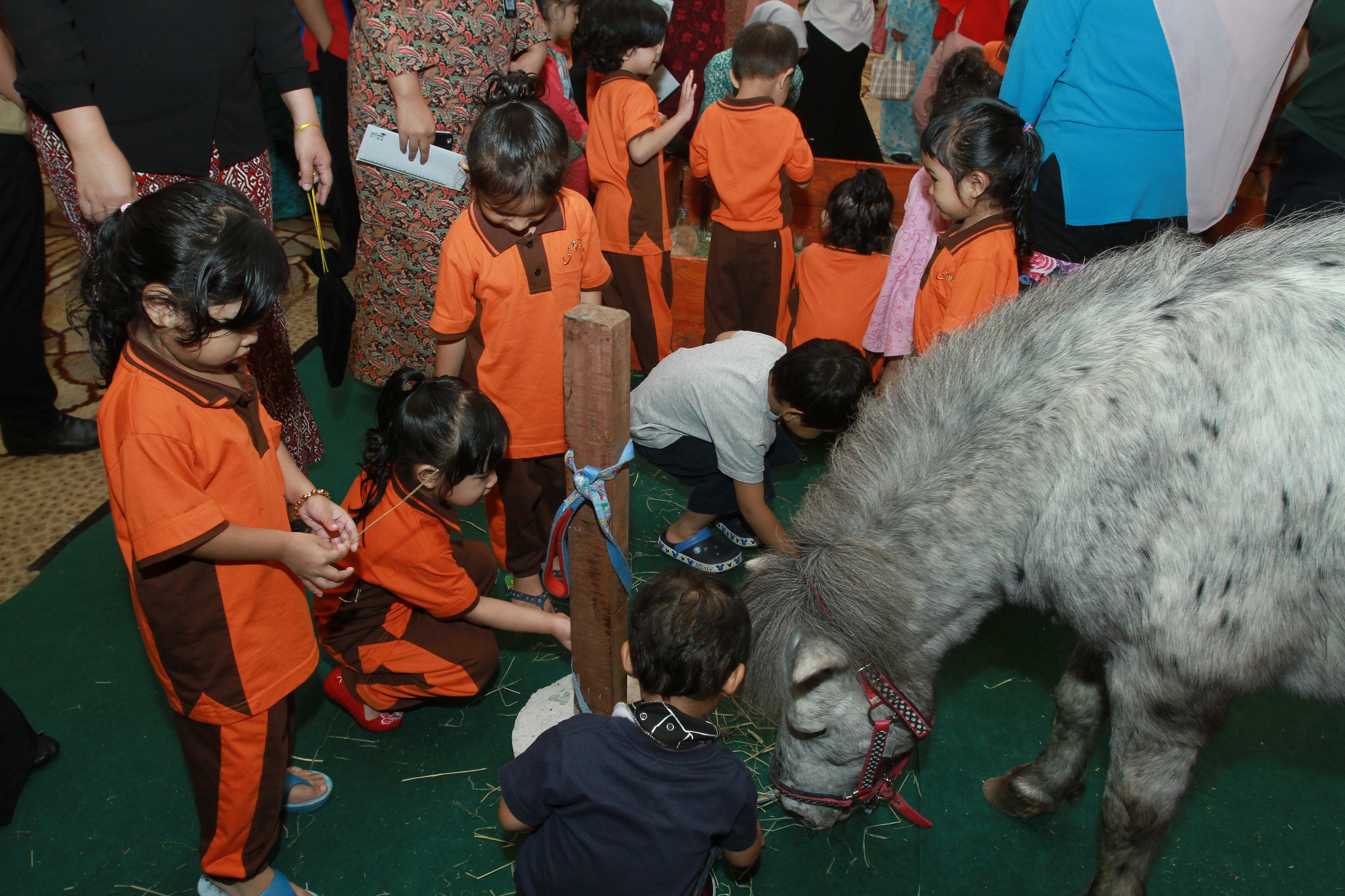 TM Networking Day with Farm In The City