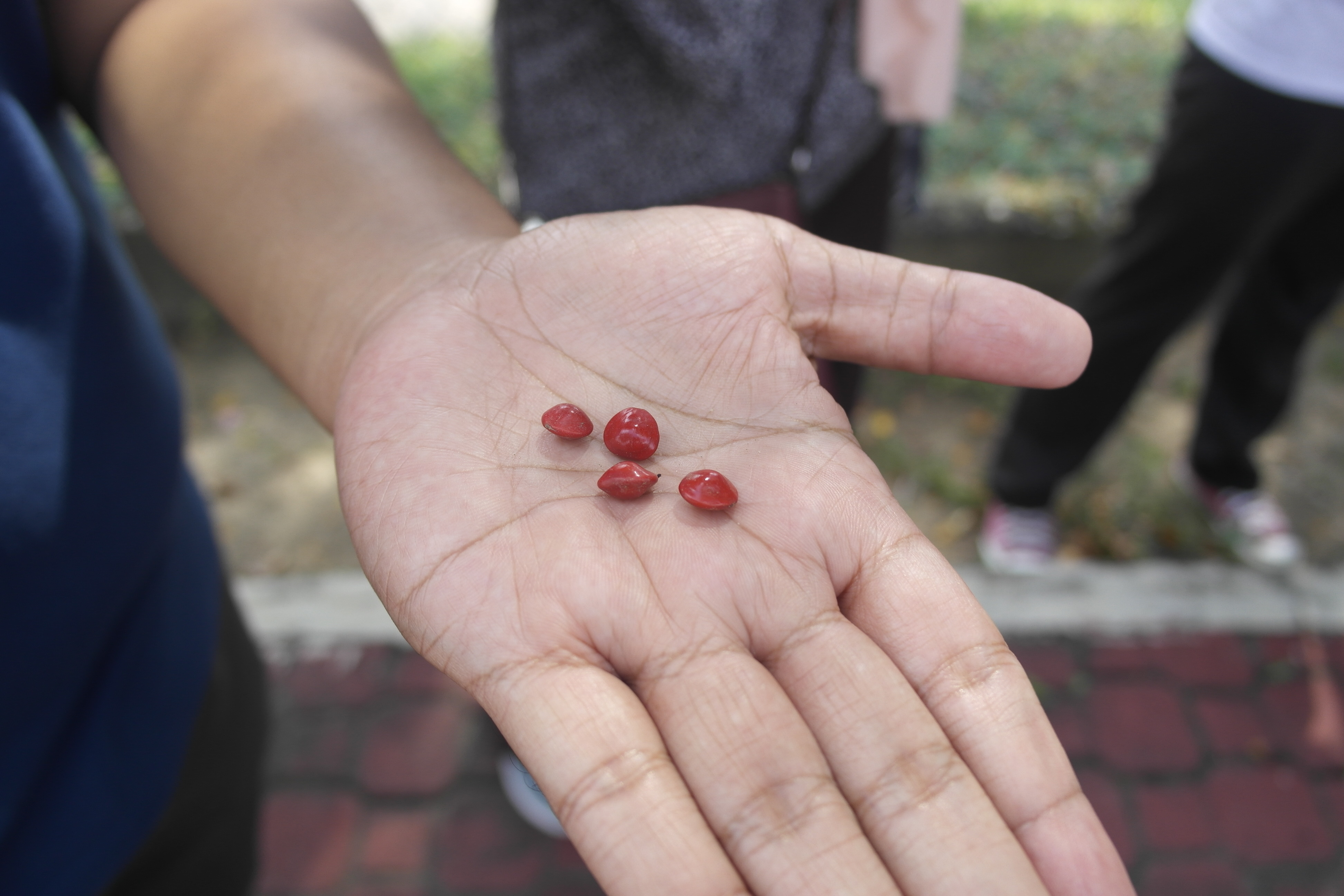 Networking Trip Klang : Royal Klang Town Heritage Walk & Wyndham Acmar Klang Hotel