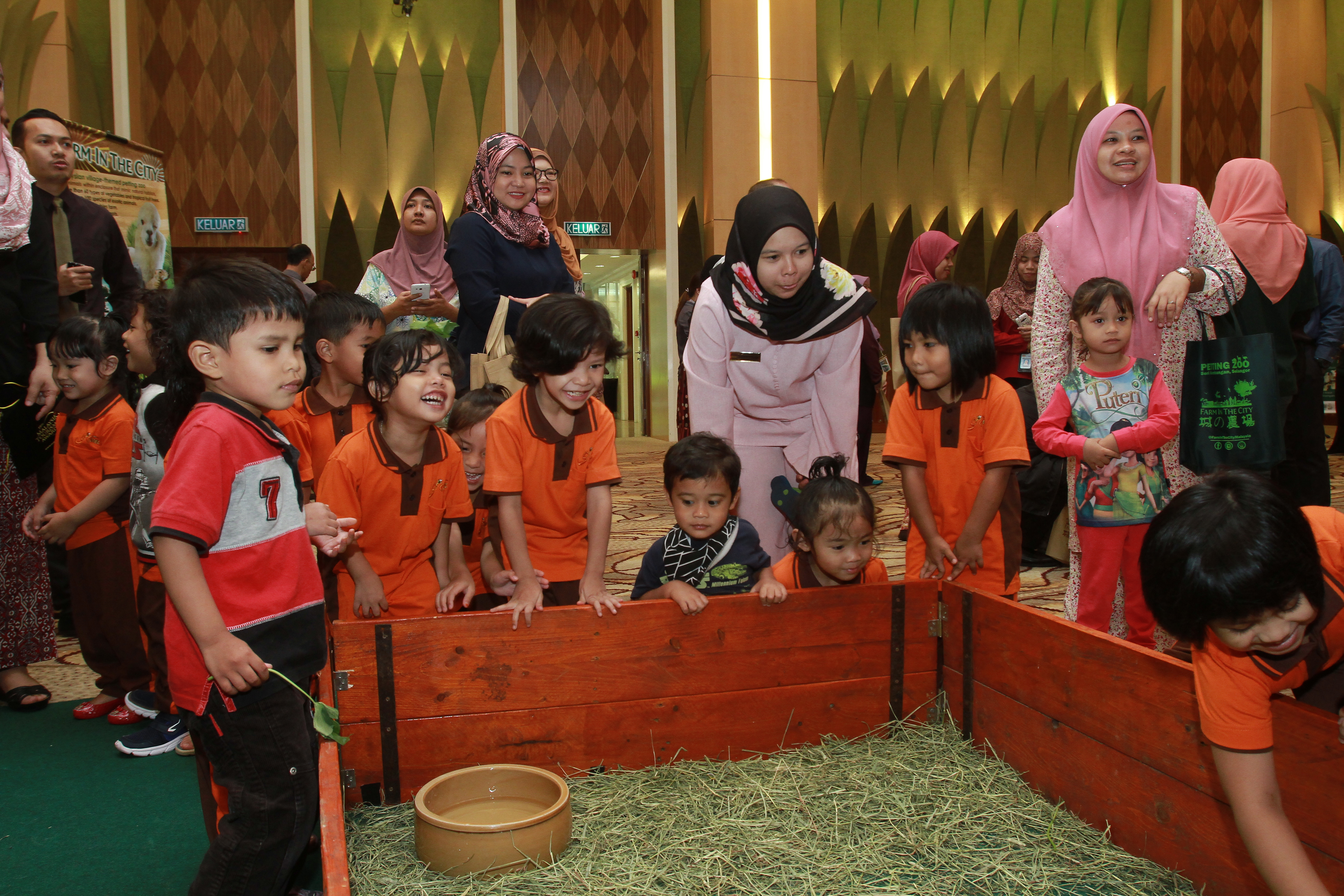 TM Networking Day with Farm In The City