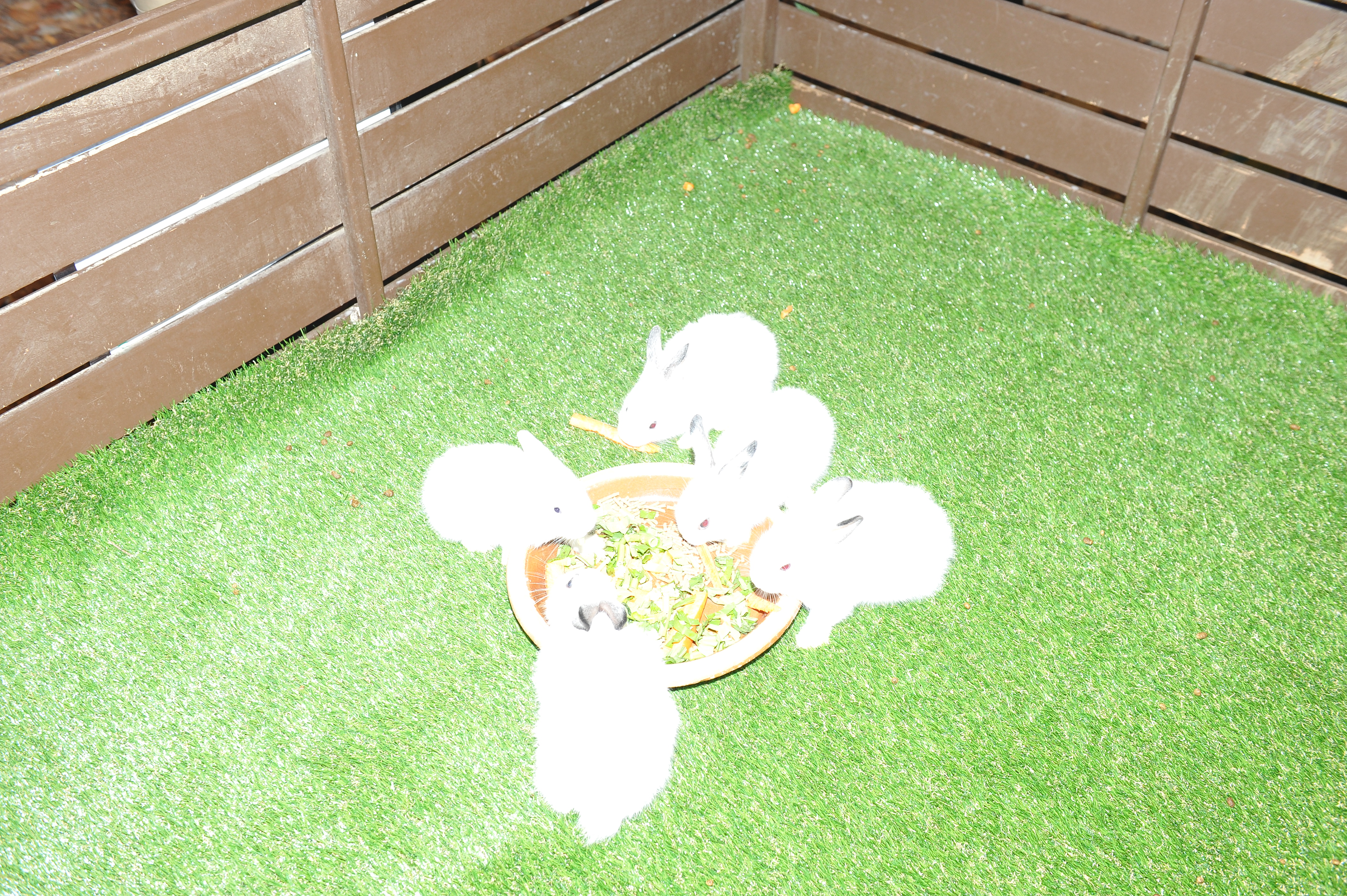 TM Networking Day with Sunway Lagoon