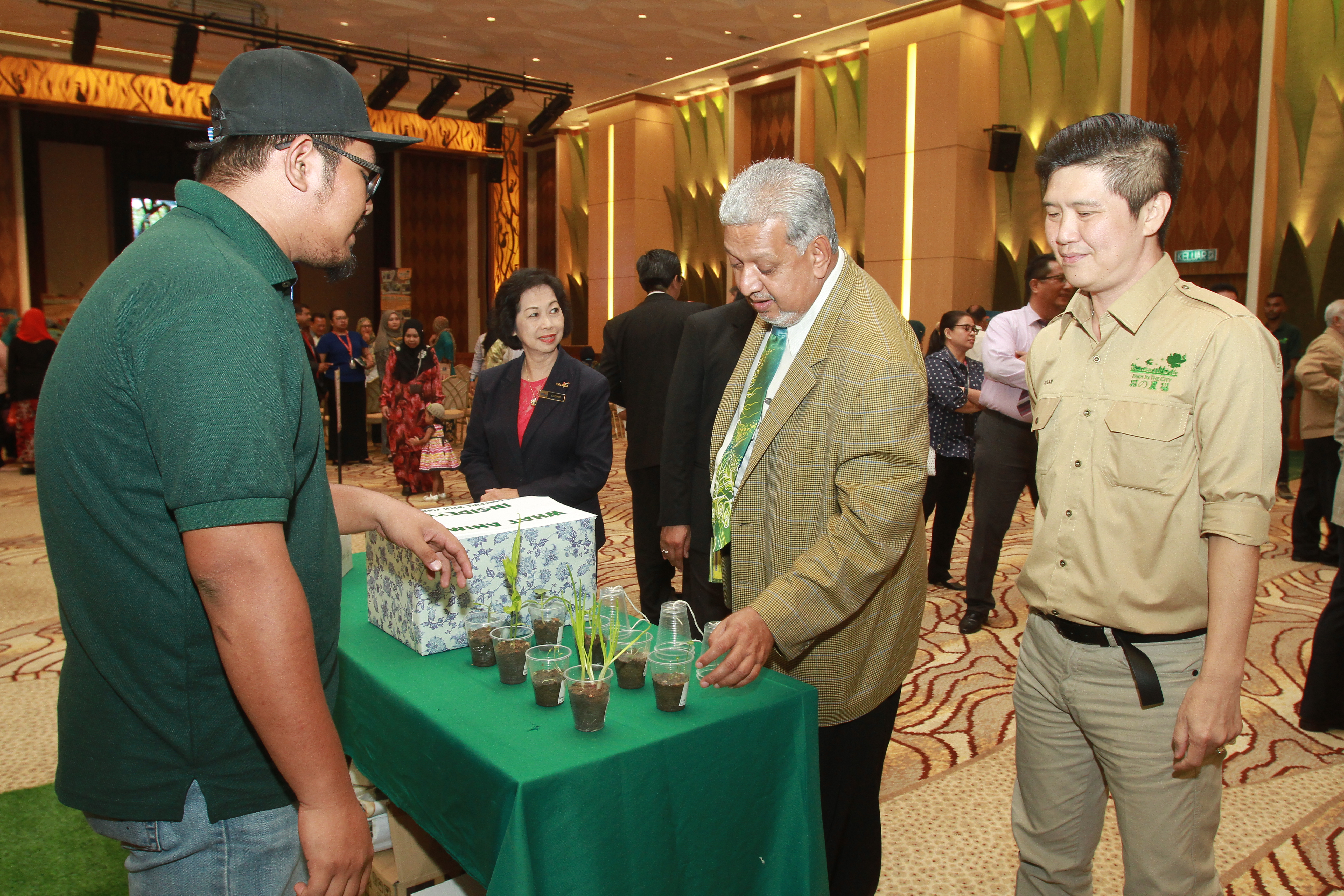 TM Networking Day with Farm In The City