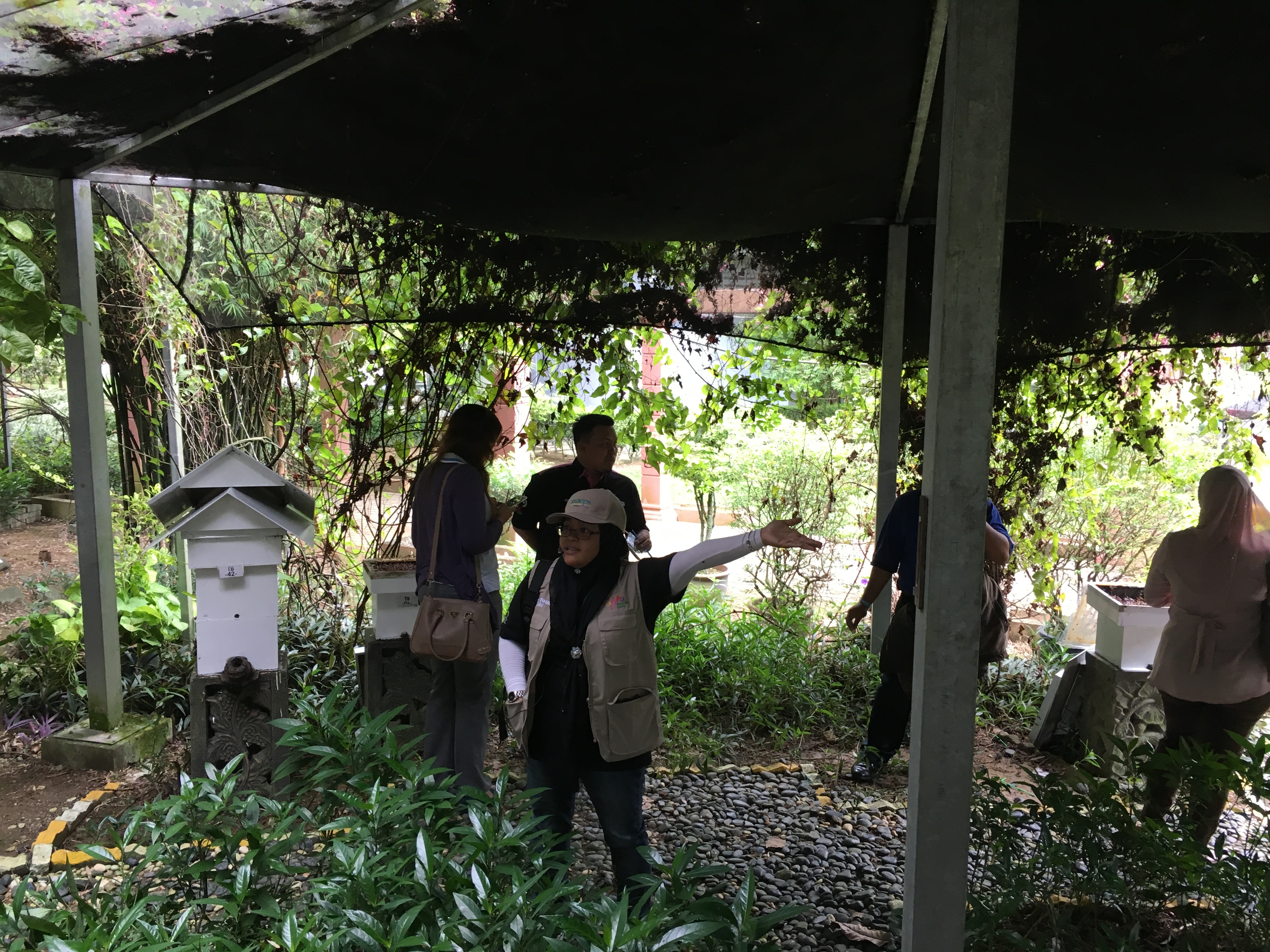 TM Product Update - MAEPS & Le Meridian