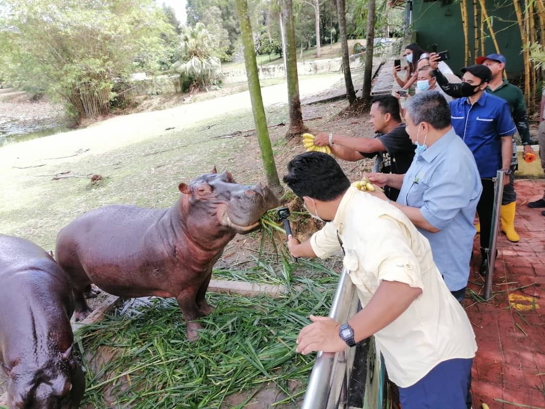 Networking Trip Paya Indah Discovery Wetlands (PIDW) Gamuda Cove, Dengkil