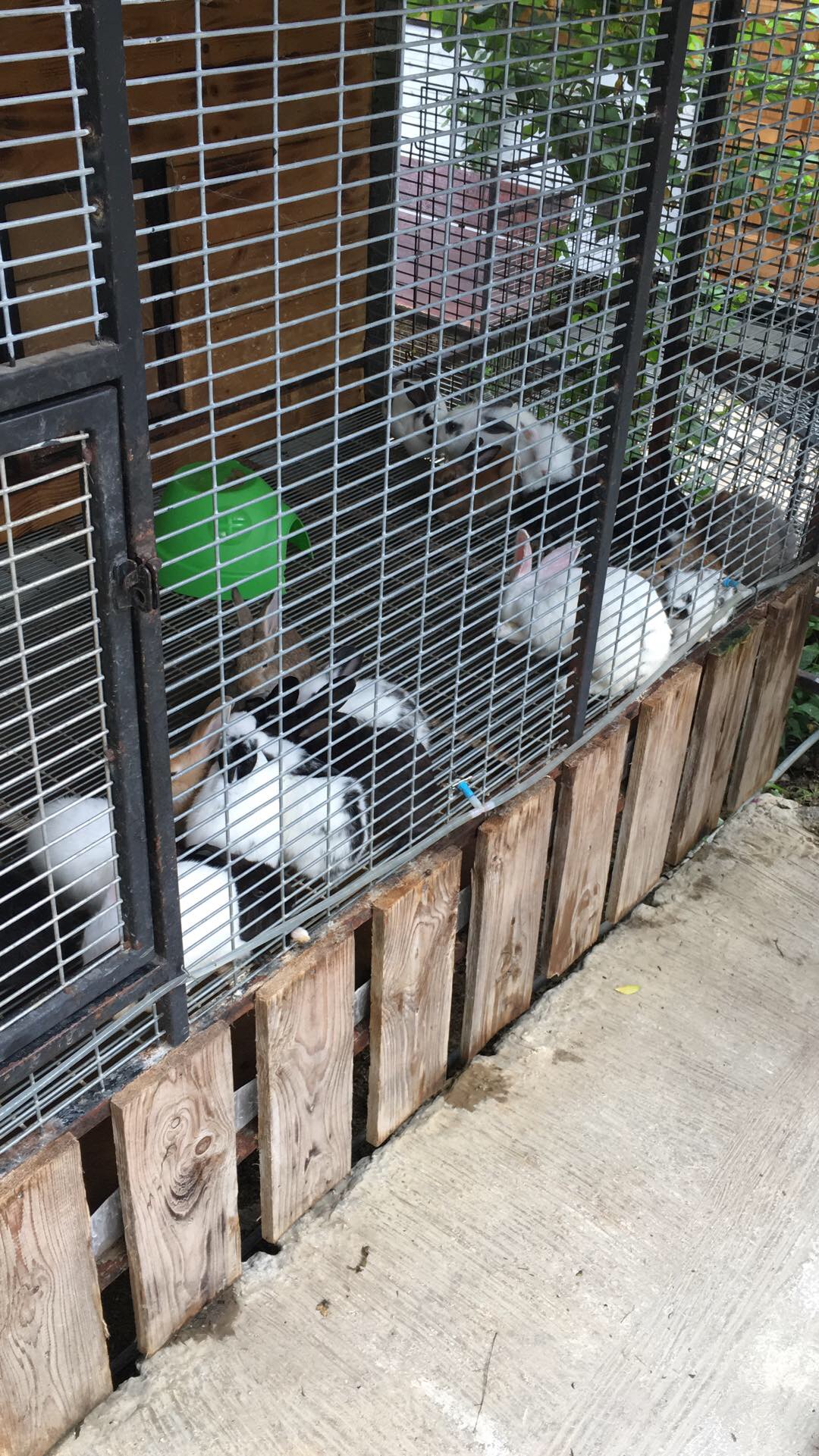 TM Product Update - MAEPS & Le Meridian