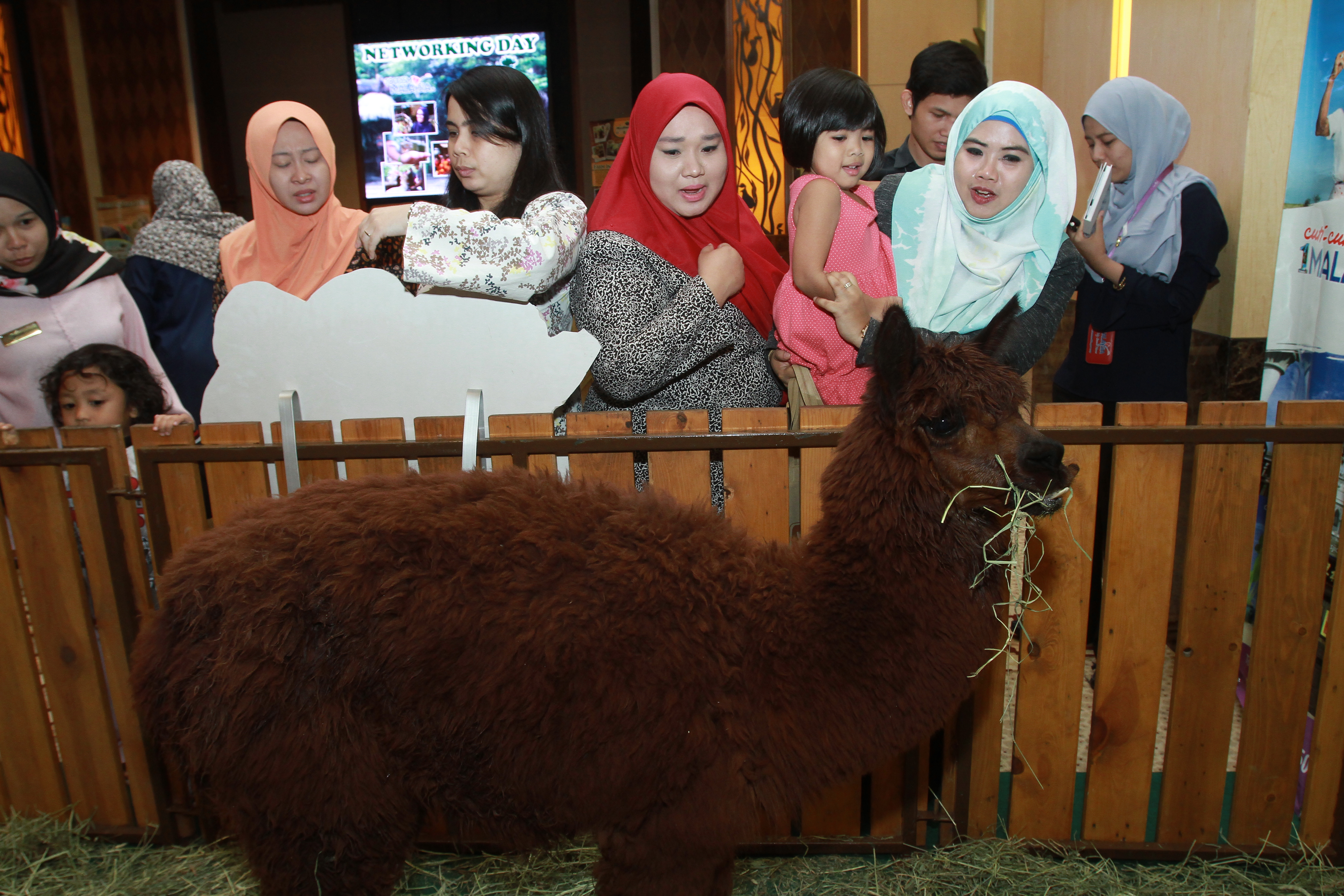 TM Networking Day with Farm In The City