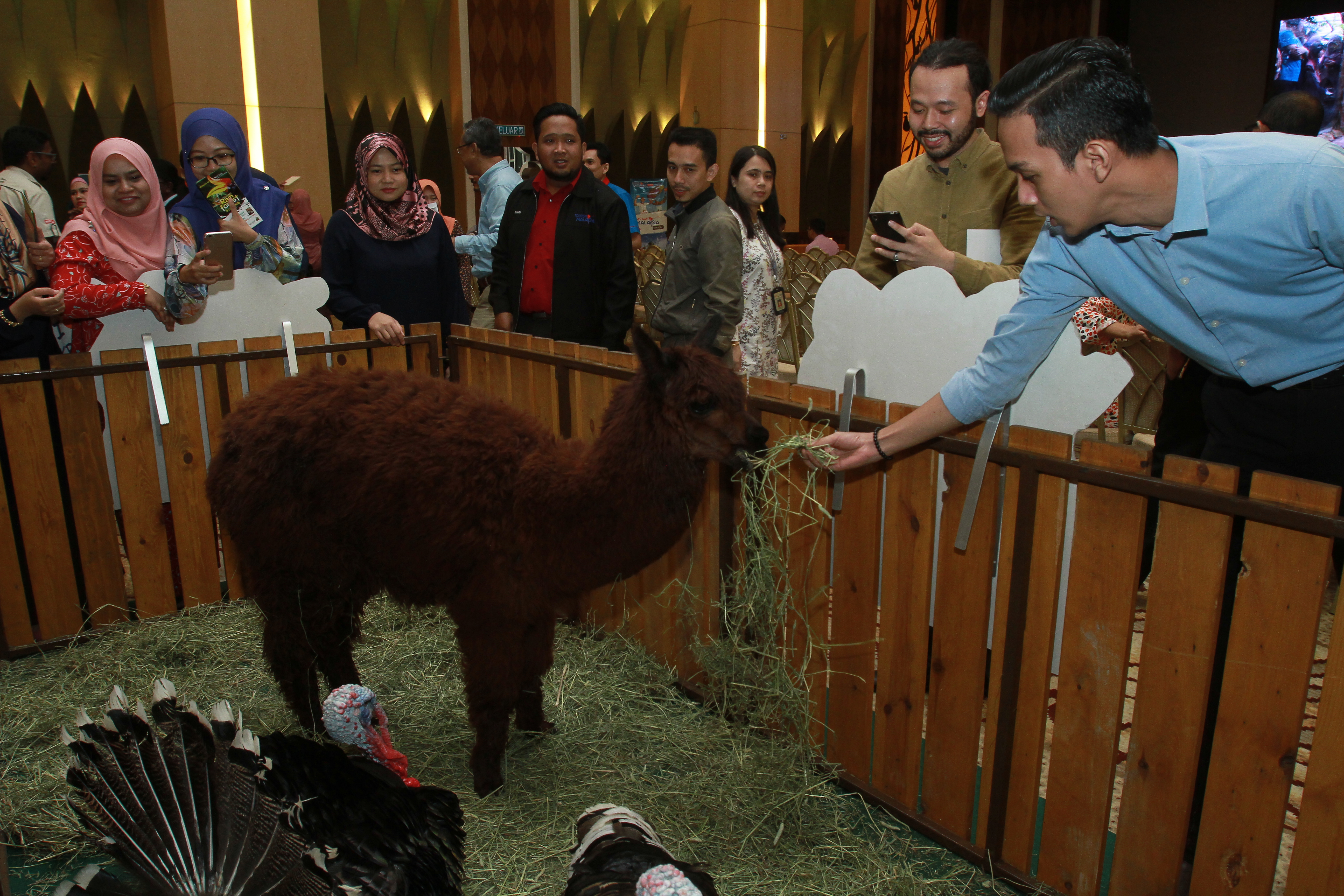 TM Networking Day with Farm In The City