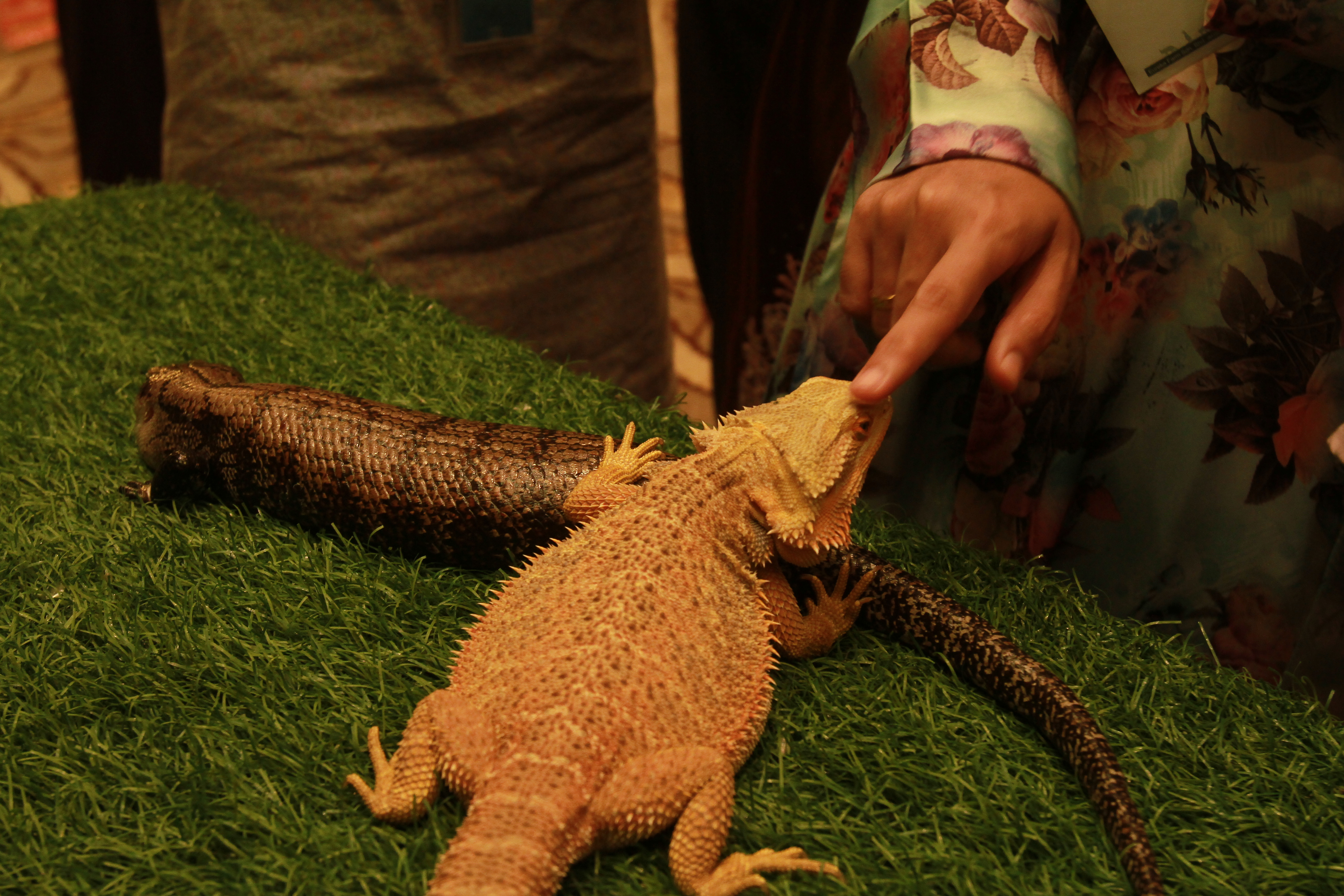 TM Networking Day with Farm In The City