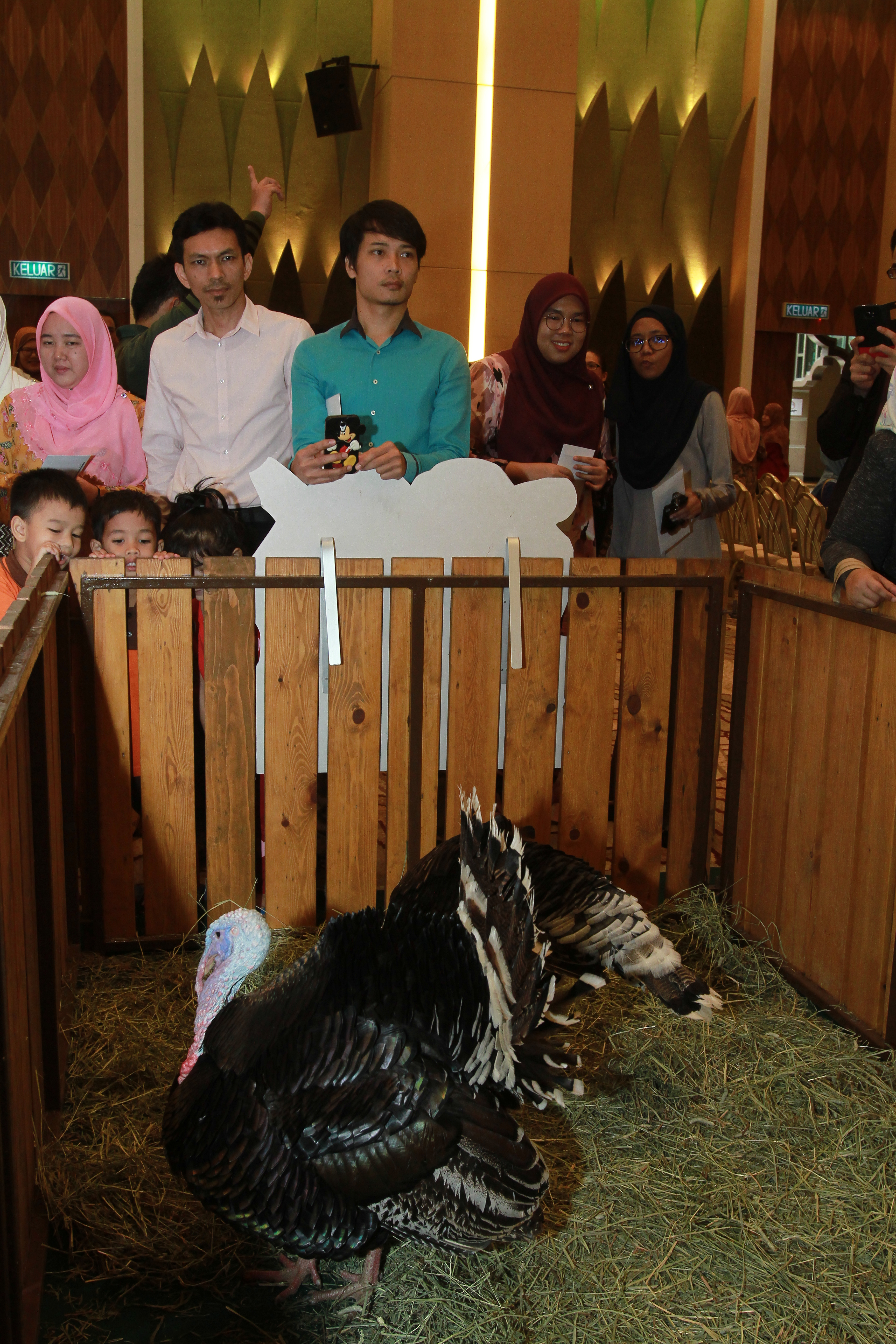 TM Networking Day with Farm In The City