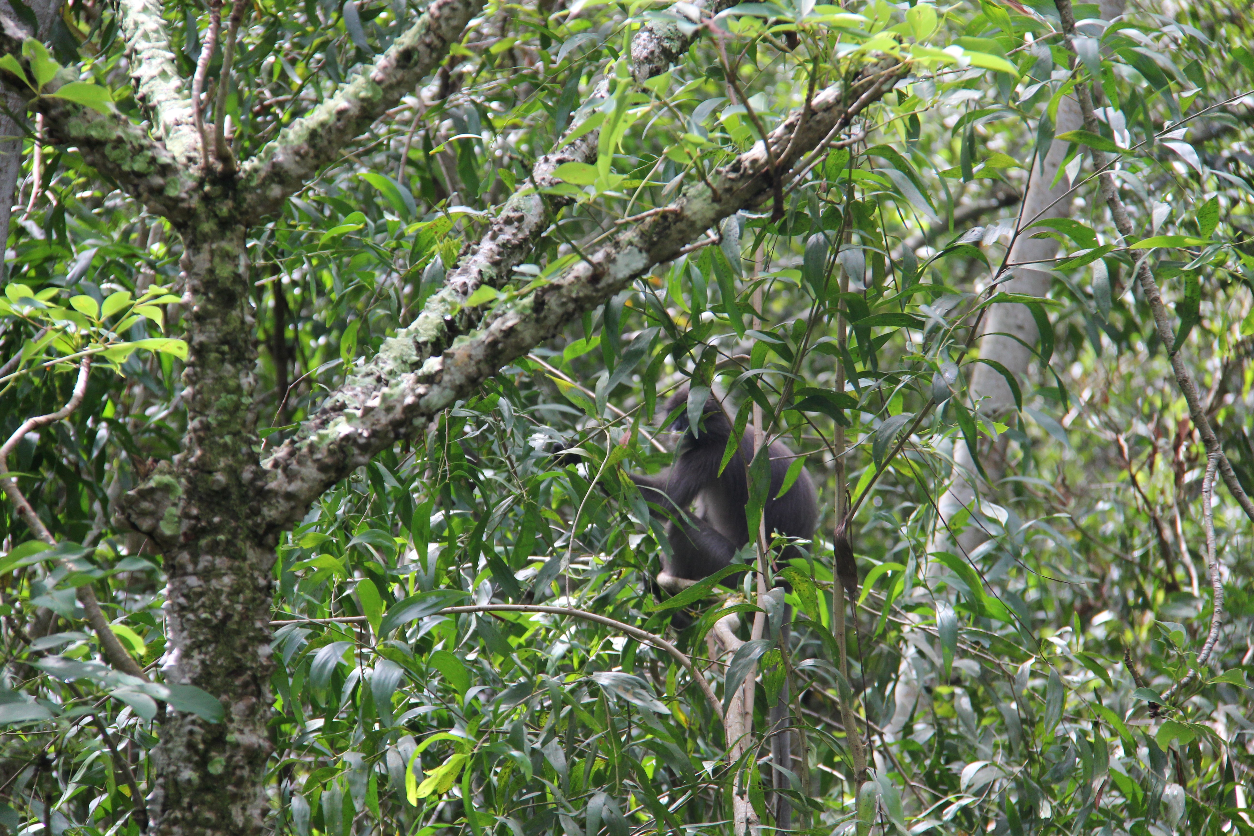 Networking Trip Paya Indah Discovery Wetlands (PIDW) Gamuda Cove, Dengkil