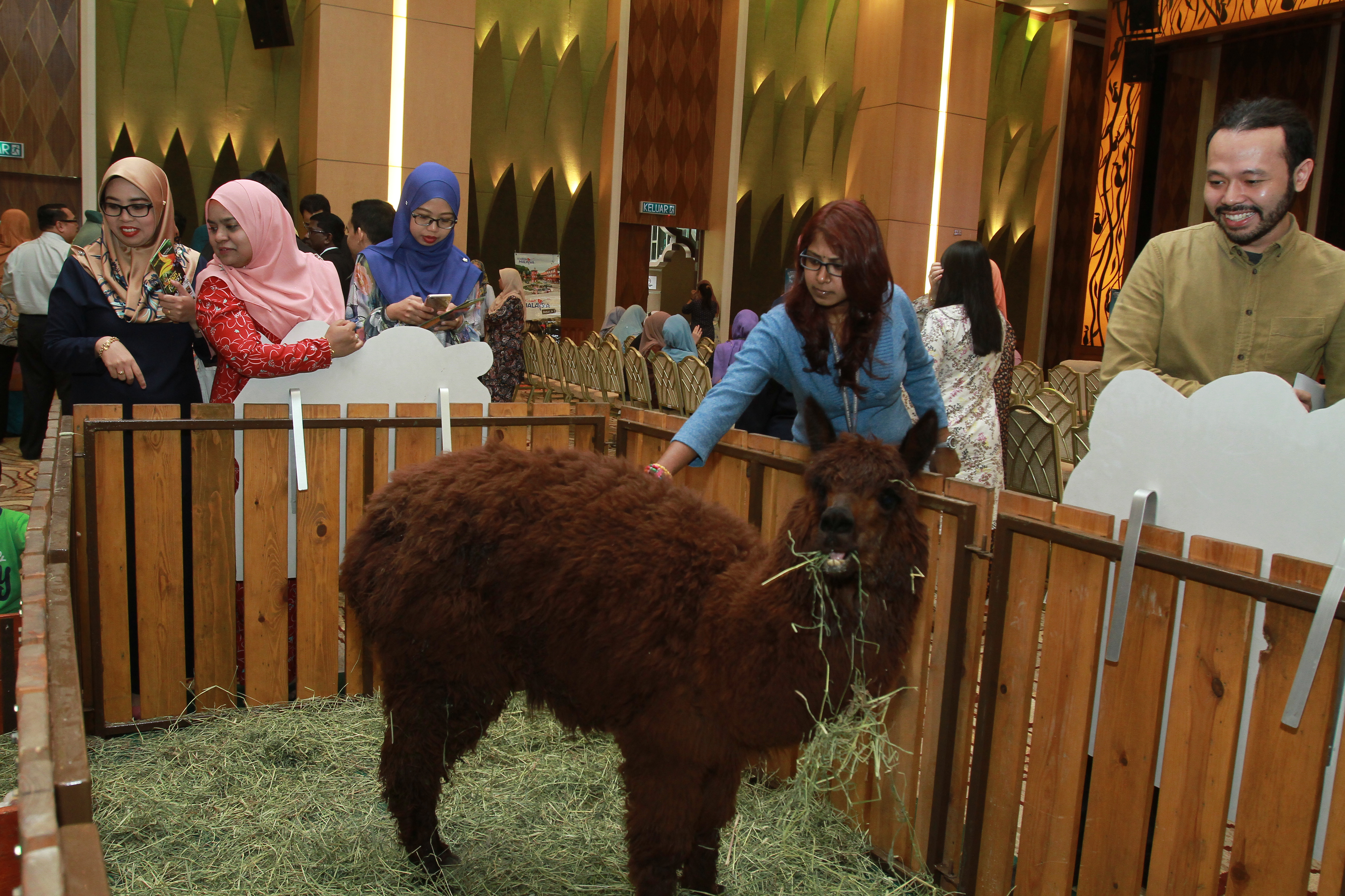 TM Networking Day with Farm In The City