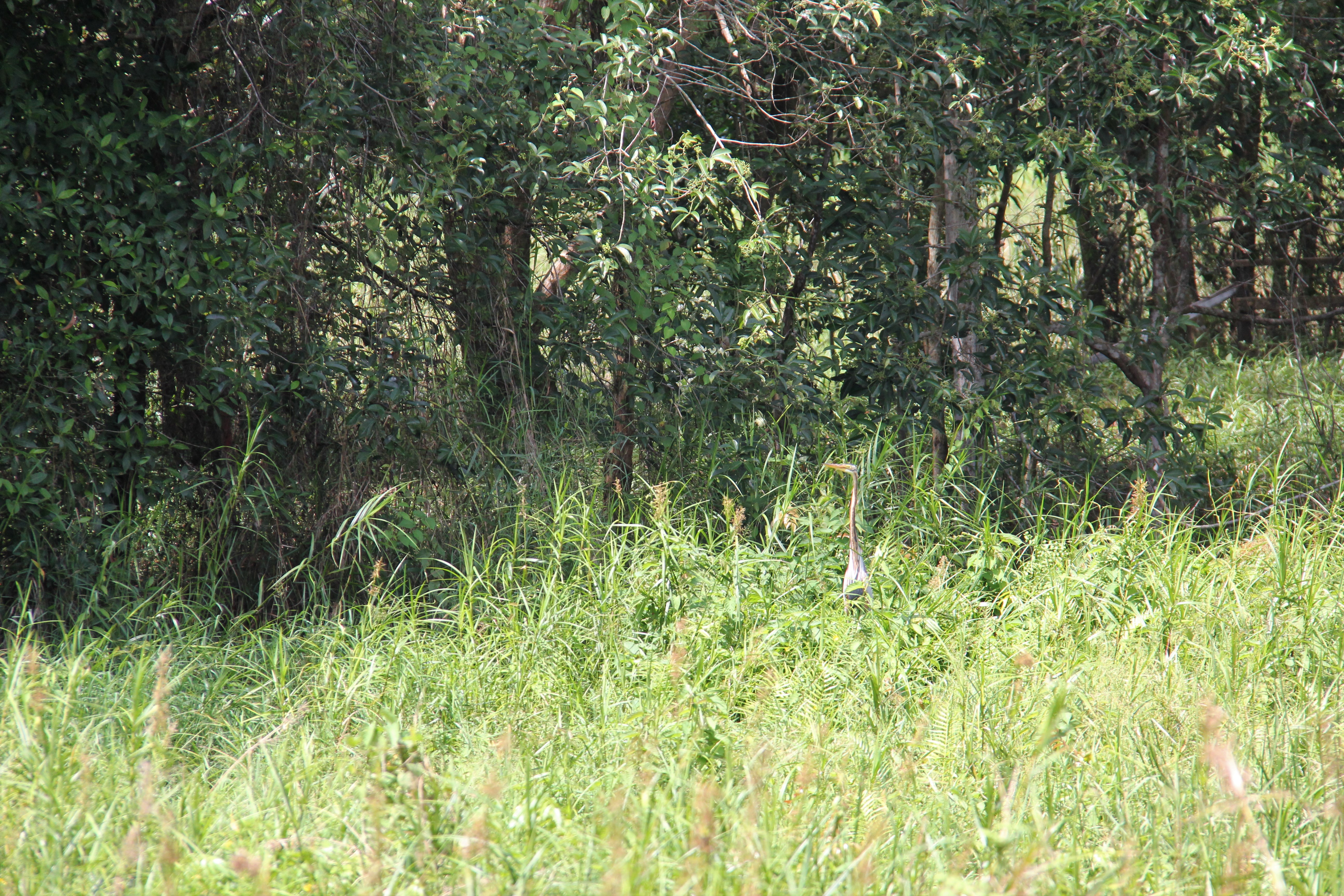 Networking Trip Paya Indah Discovery Wetlands (PIDW) Gamuda Cove, Dengkil