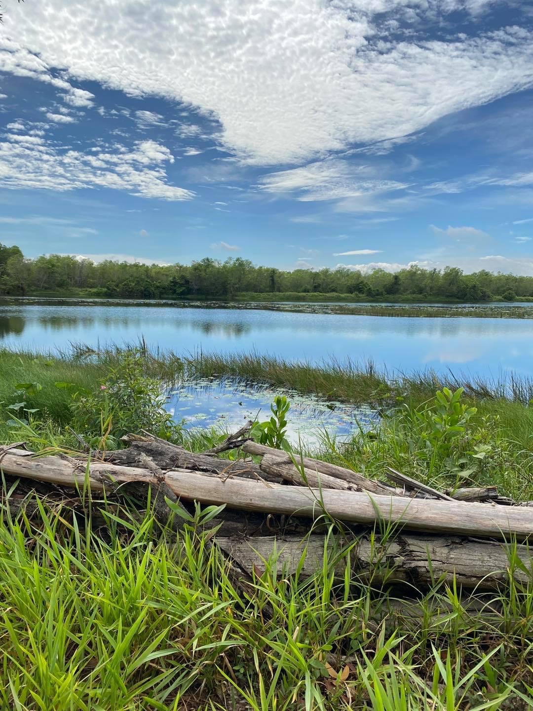 Networking Trip Paya Indah Discovery Wetlands (PIDW) Gamuda Cove, Dengkil