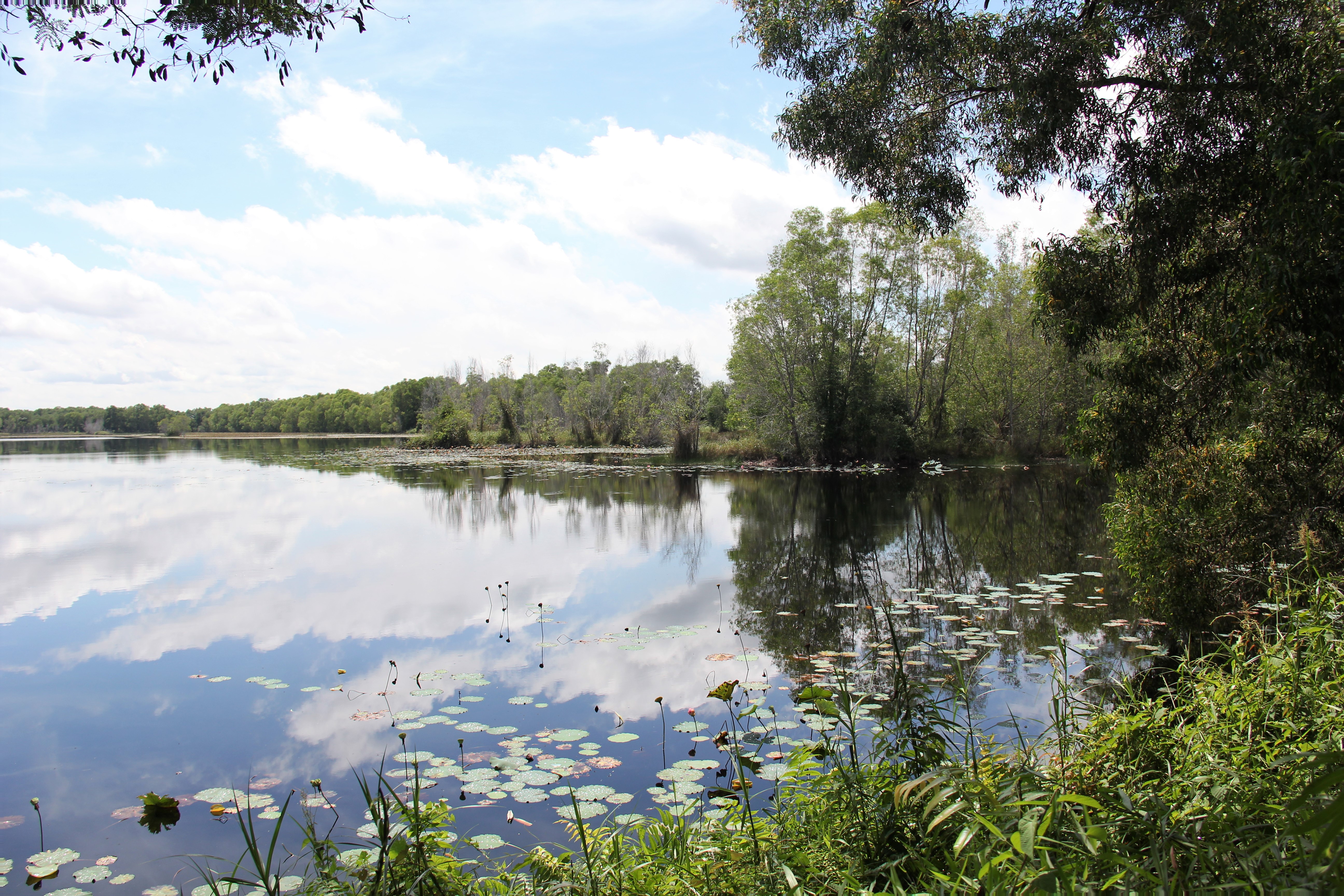 Networking Trip Paya Indah Discovery Wetlands (PIDW) Gamuda Cove, Dengkil