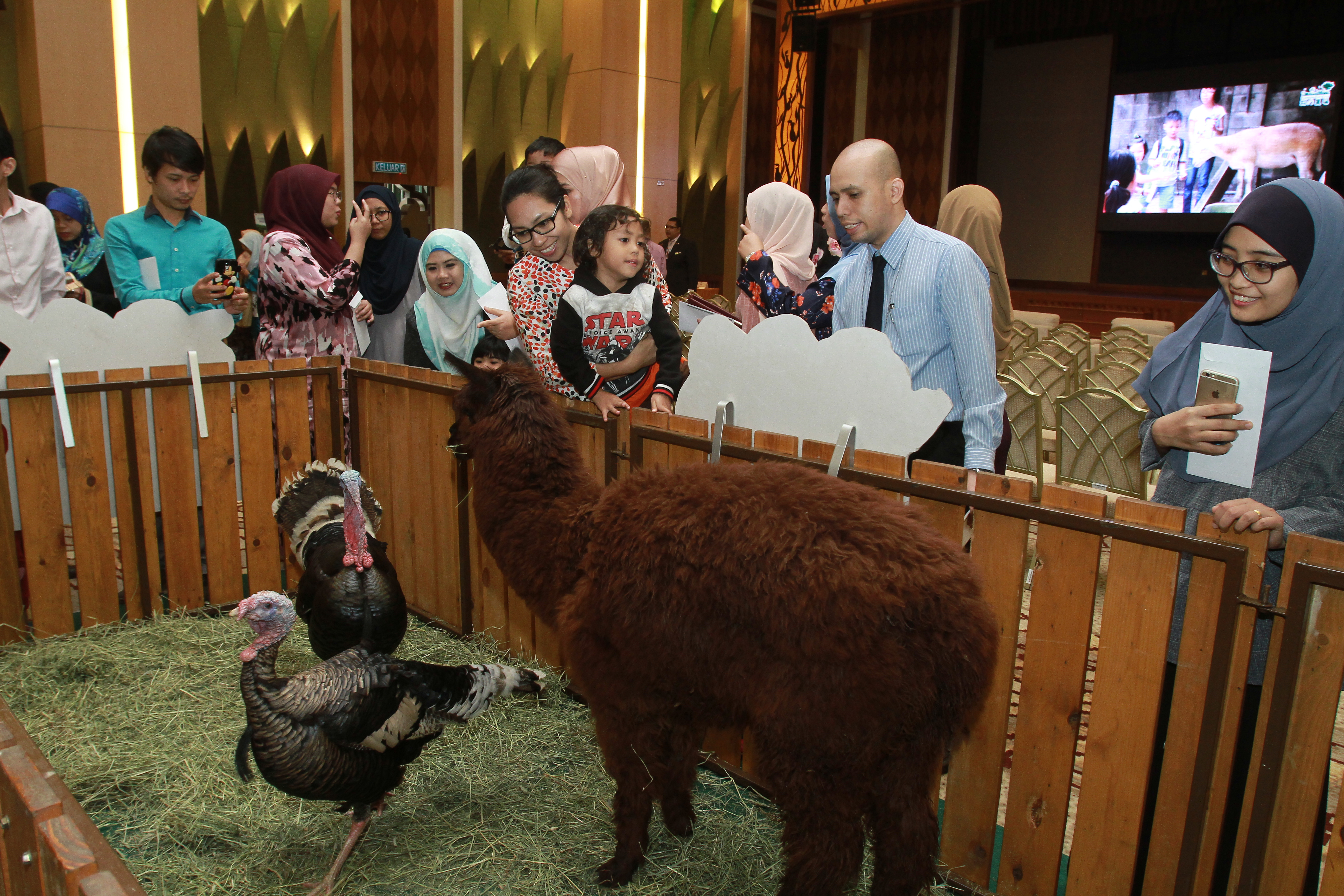 TM Networking Day with Farm In The City